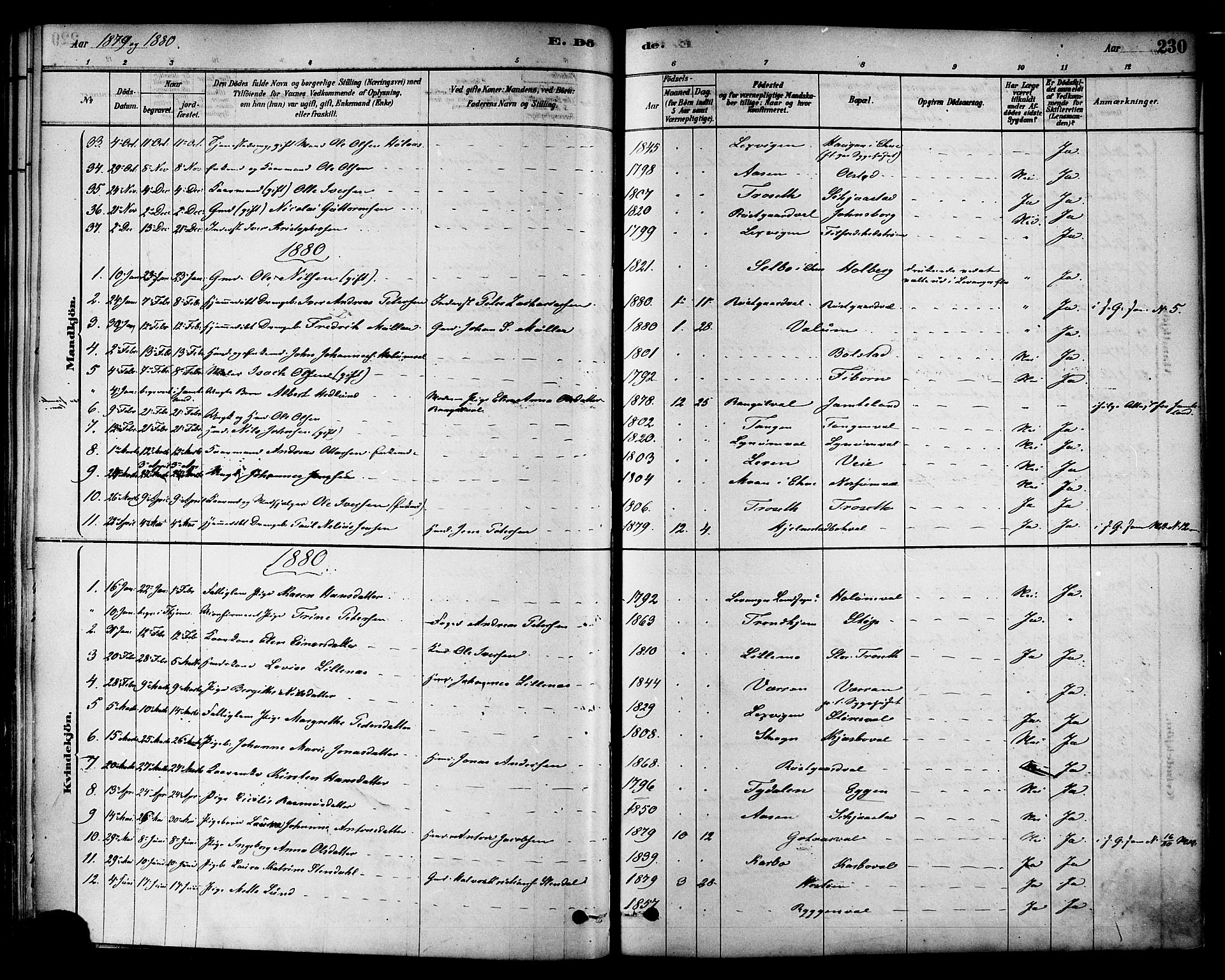 Ministerialprotokoller, klokkerbøker og fødselsregistre - Nord-Trøndelag, SAT/A-1458/717/L0159: Ministerialbok nr. 717A09, 1878-1898, s. 230