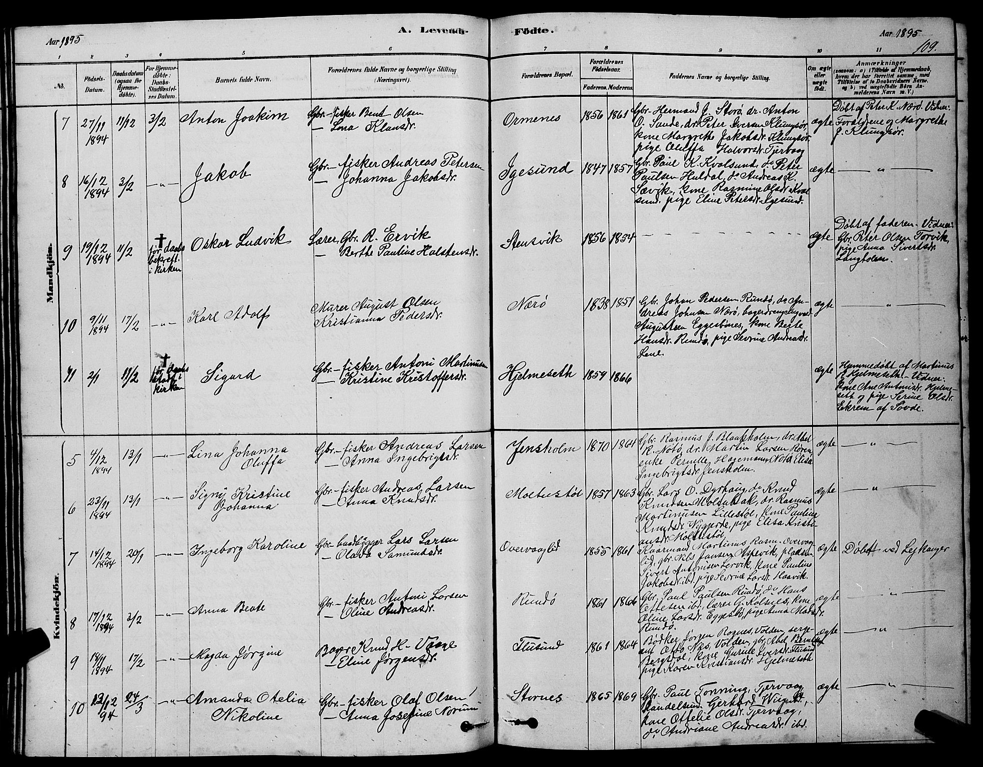 Ministerialprotokoller, klokkerbøker og fødselsregistre - Møre og Romsdal, AV/SAT-A-1454/507/L0081: Klokkerbok nr. 507C04, 1878-1898, s. 109