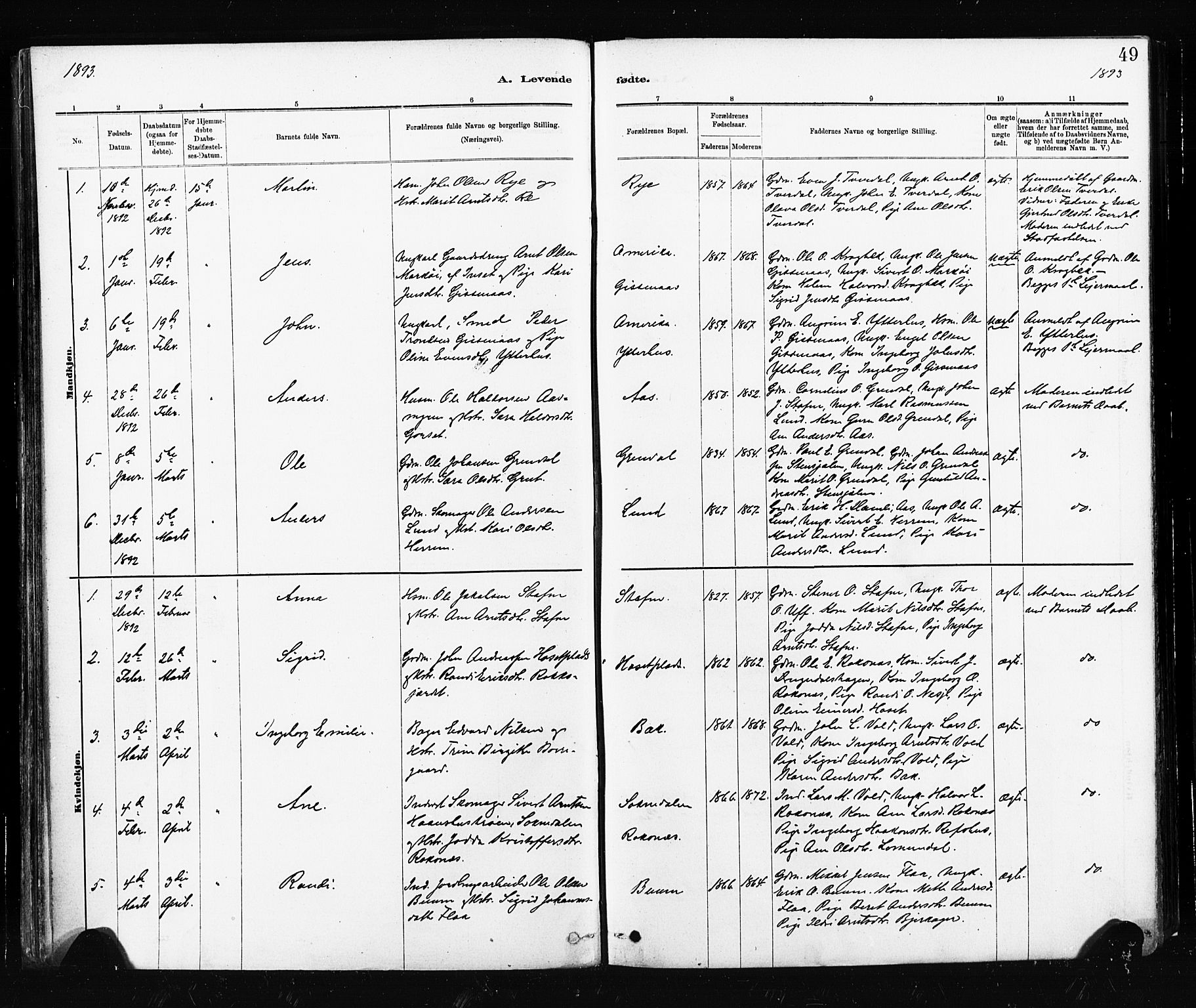 Ministerialprotokoller, klokkerbøker og fødselsregistre - Sør-Trøndelag, AV/SAT-A-1456/674/L0871: Ministerialbok nr. 674A03, 1880-1896, s. 49