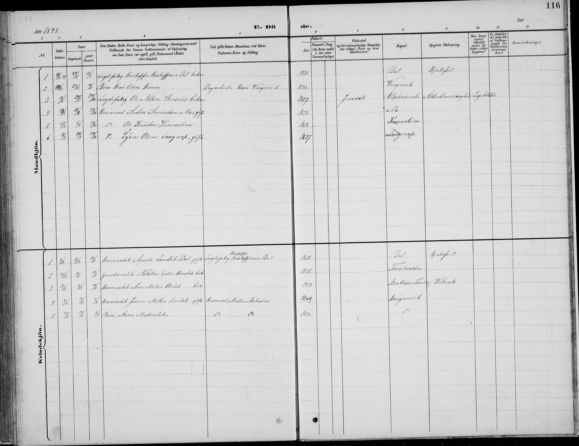 Nordre Land prestekontor, SAH/PREST-124/H/Ha/Hab/L0013: Klokkerbok nr. 13, 1891-1904, s. 116