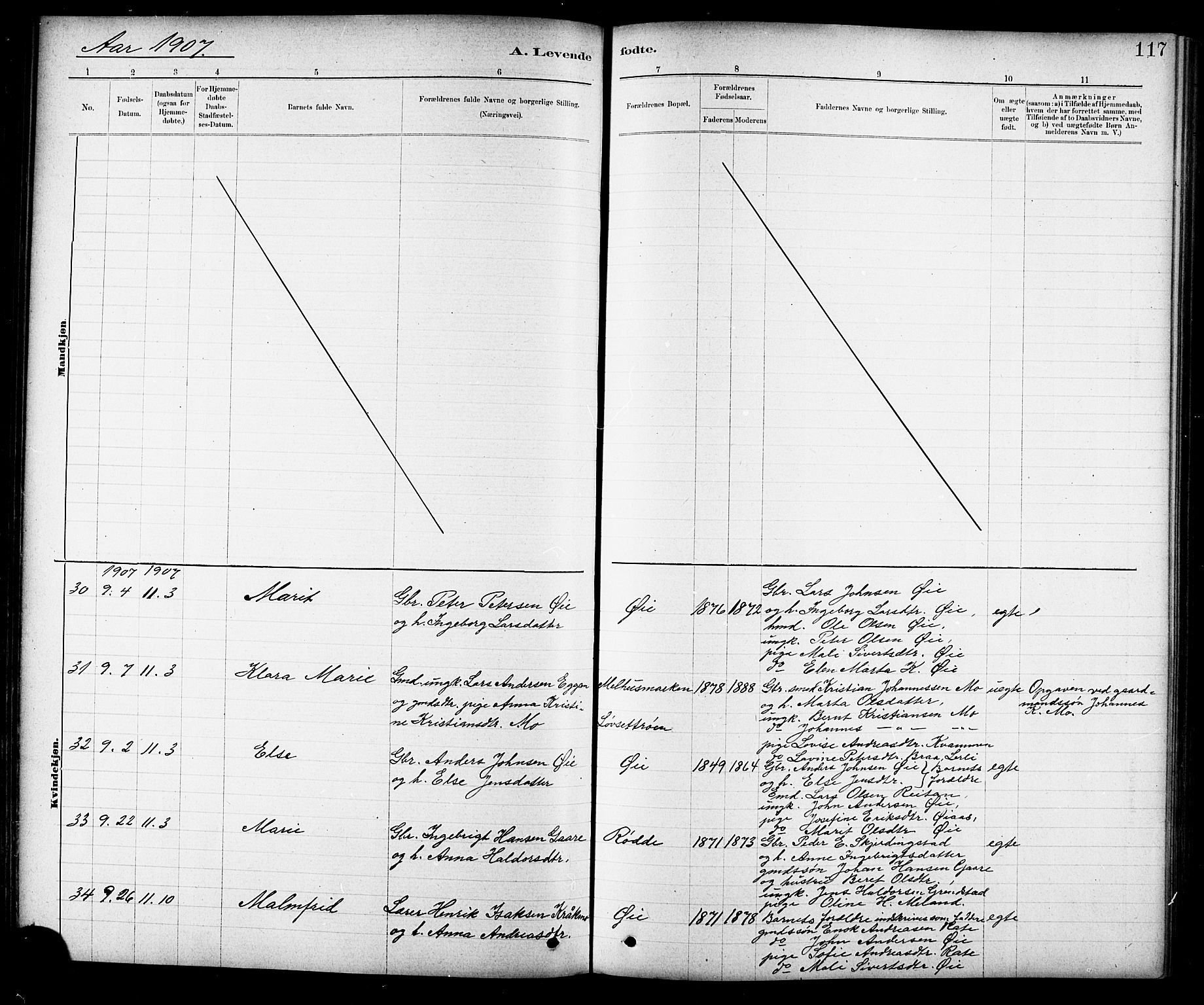 Ministerialprotokoller, klokkerbøker og fødselsregistre - Sør-Trøndelag, AV/SAT-A-1456/691/L1094: Klokkerbok nr. 691C05, 1879-1911, s. 117