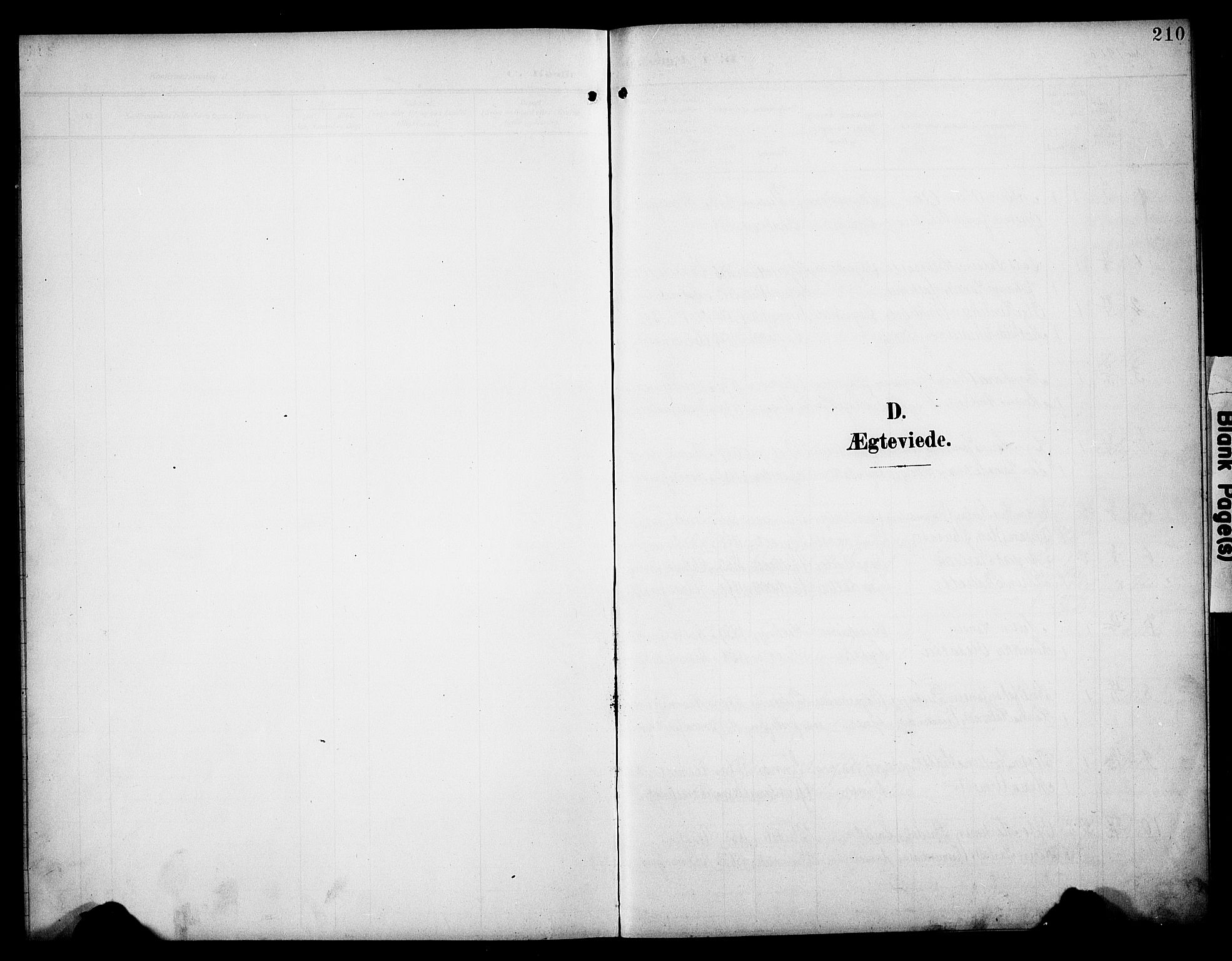 Åsnes prestekontor, SAH/PREST-042/H/Ha/Hab/L0006: Klokkerbok nr. 6, 1903-1929, s. 210