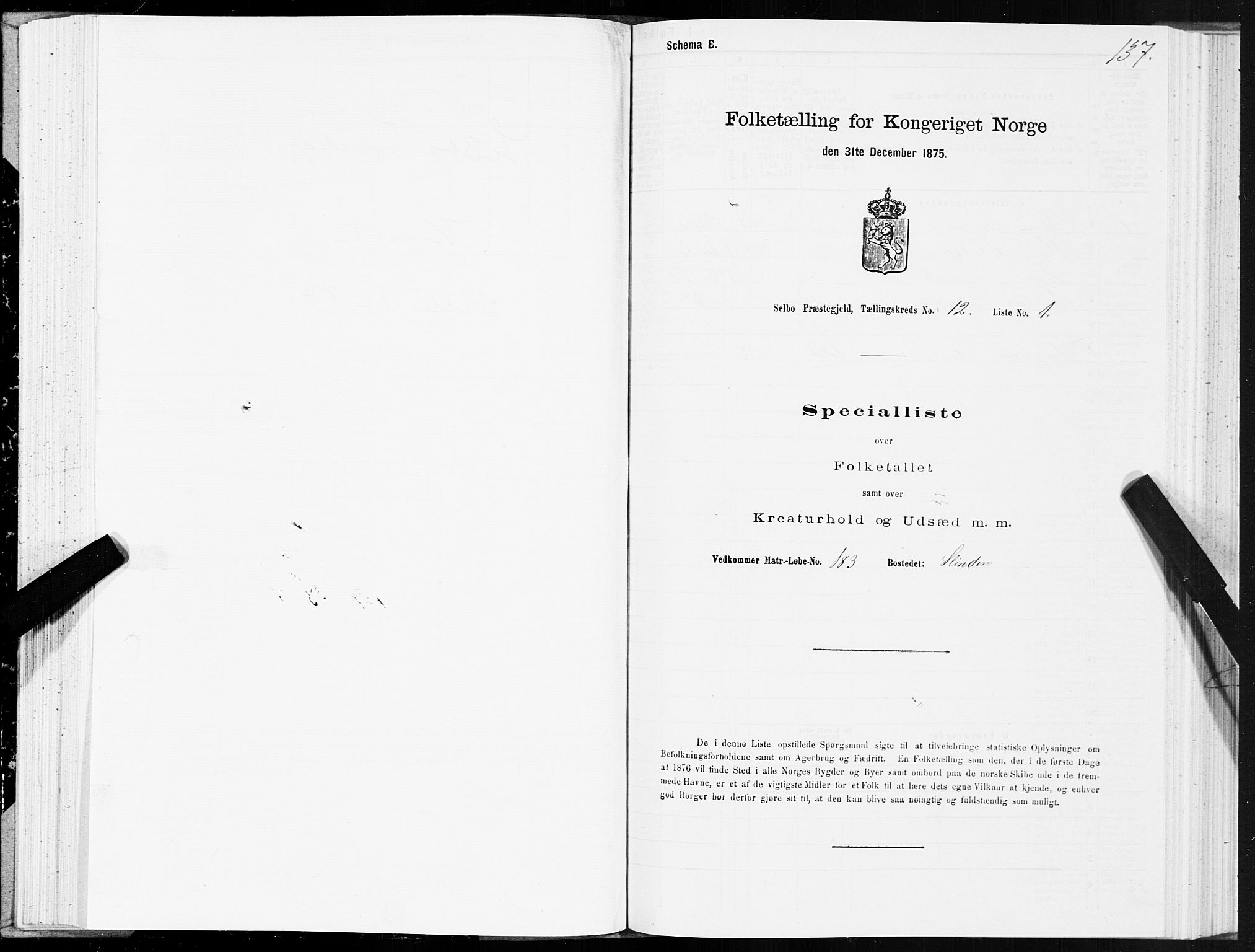 SAT, Folketelling 1875 for 1664P Selbu prestegjeld, 1875, s. 6137