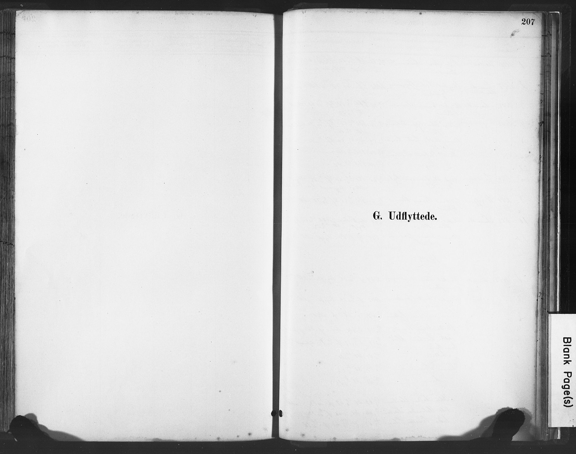 Lye sokneprestkontor, AV/SAST-A-101794/001/30BA/L0010: Ministerialbok nr. A 10, 1881-1896, s. 207