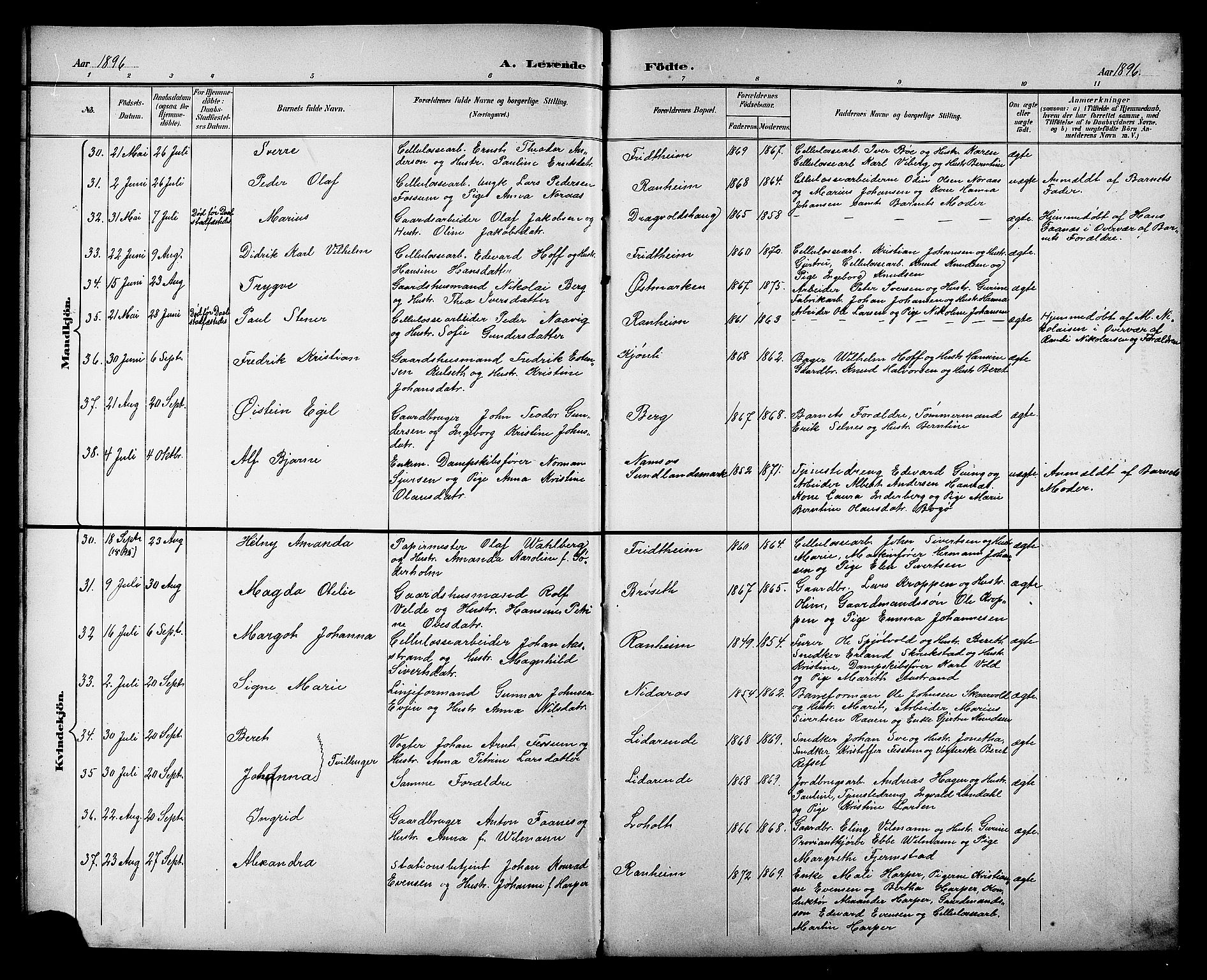 Ministerialprotokoller, klokkerbøker og fødselsregistre - Sør-Trøndelag, AV/SAT-A-1456/606/L0313: Klokkerbok nr. 606C09, 1895-1910