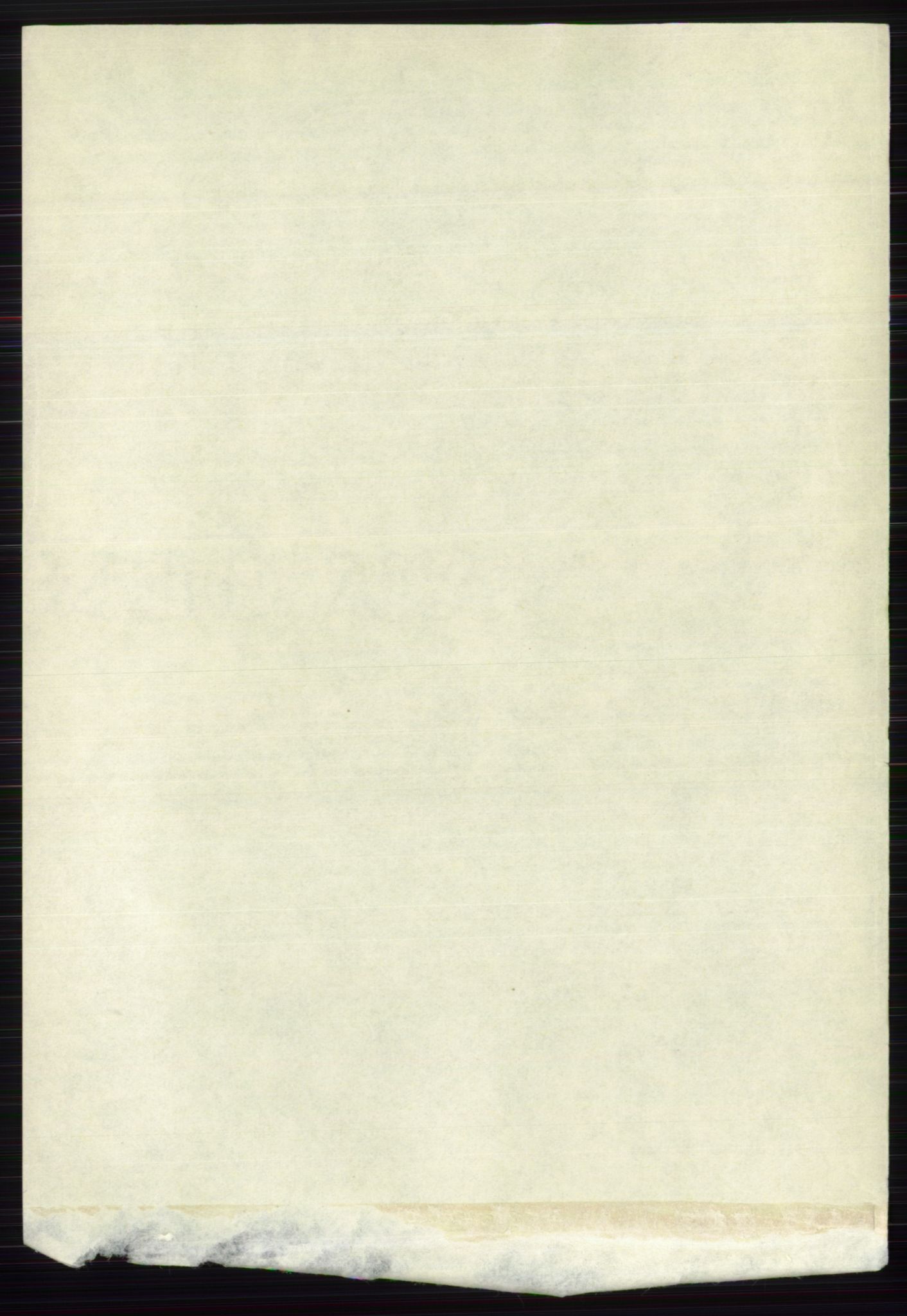 RA, Folketelling 1891 for 0717 Borre herred, 1891, s. 1141