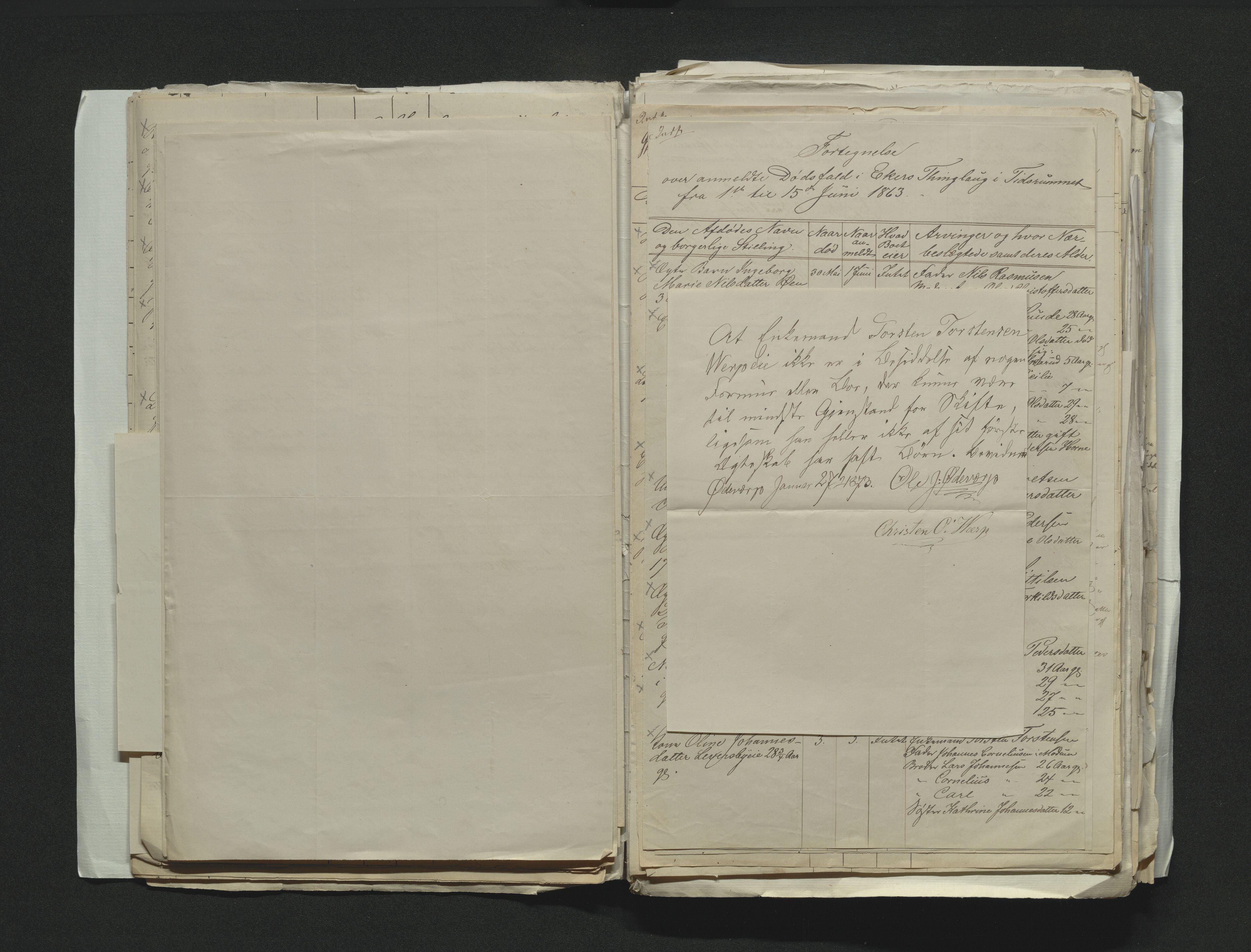 Eiker, Modum og Sigdal sorenskriveri, AV/SAKO-A-123/H/Ha/Hab/L0011: Dødsfallsmeldinger, 1862-1865, s. 196