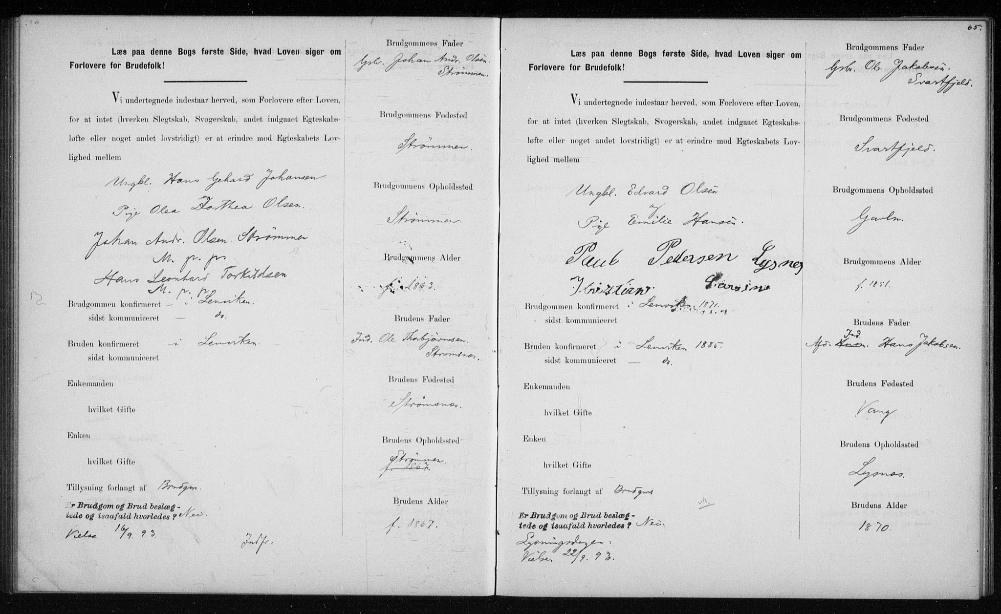 Lenvik sokneprestembete, AV/SATØ-S-1310/I/Ie/L0129: Lysningsprotokoll nr. 129, 1890-1895, s. 65