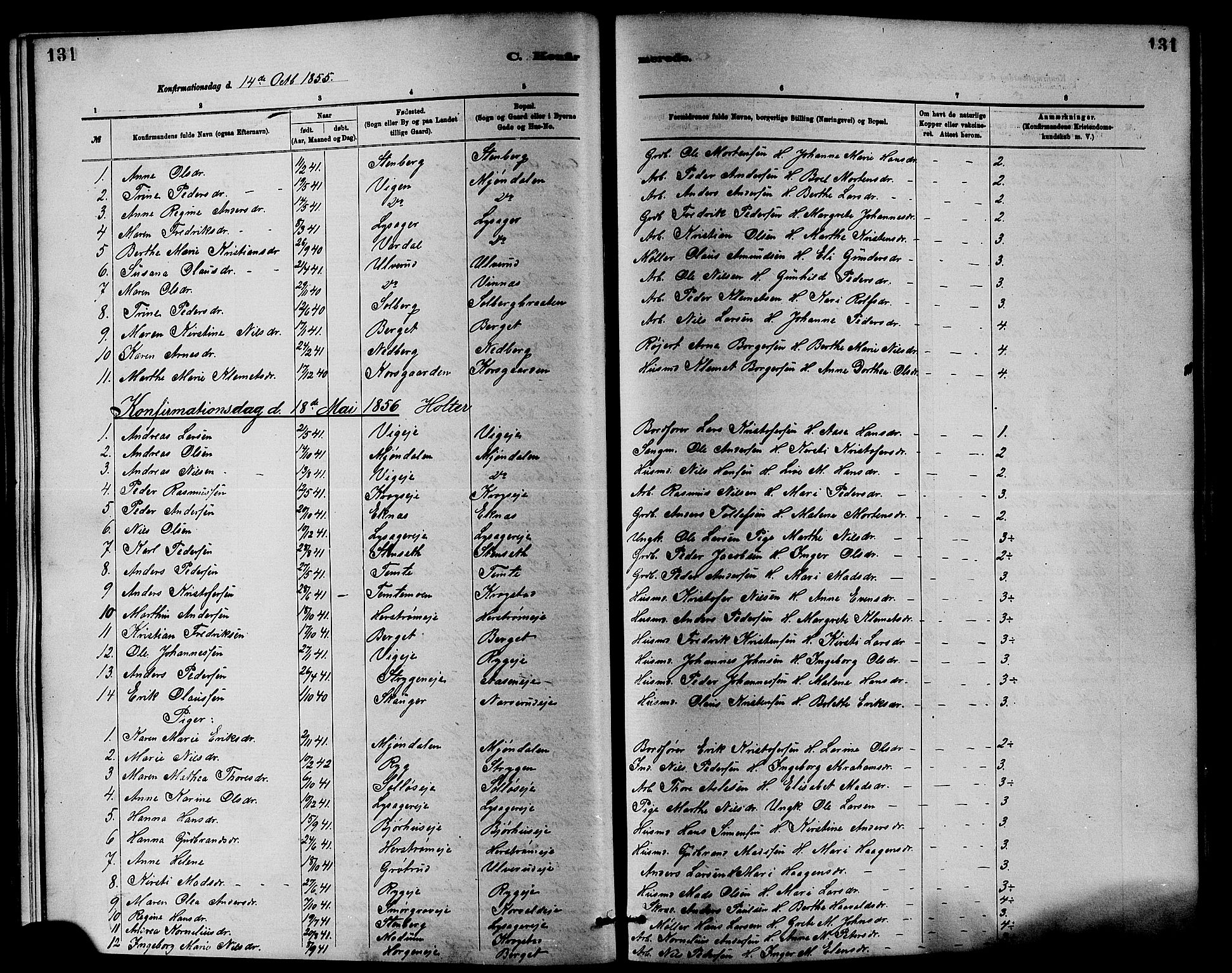 Nedre Eiker kirkebøker, SAKO/A-612/F/Fa/L0001: Ministerialbok nr. 1, 1853-1877, s. 131