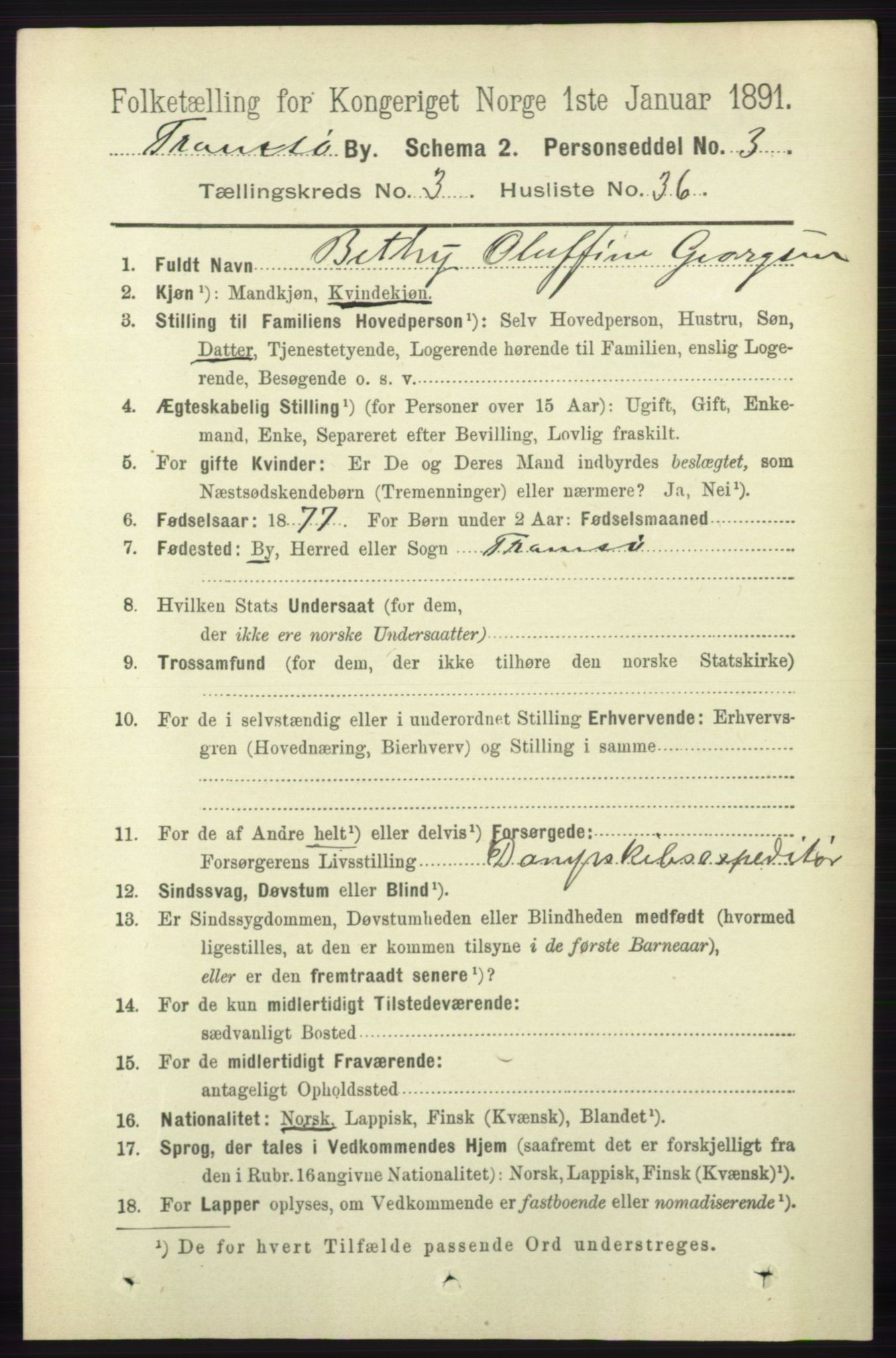RA, Folketelling 1891 for 1902 Tromsø kjøpstad, 1891, s. 3500