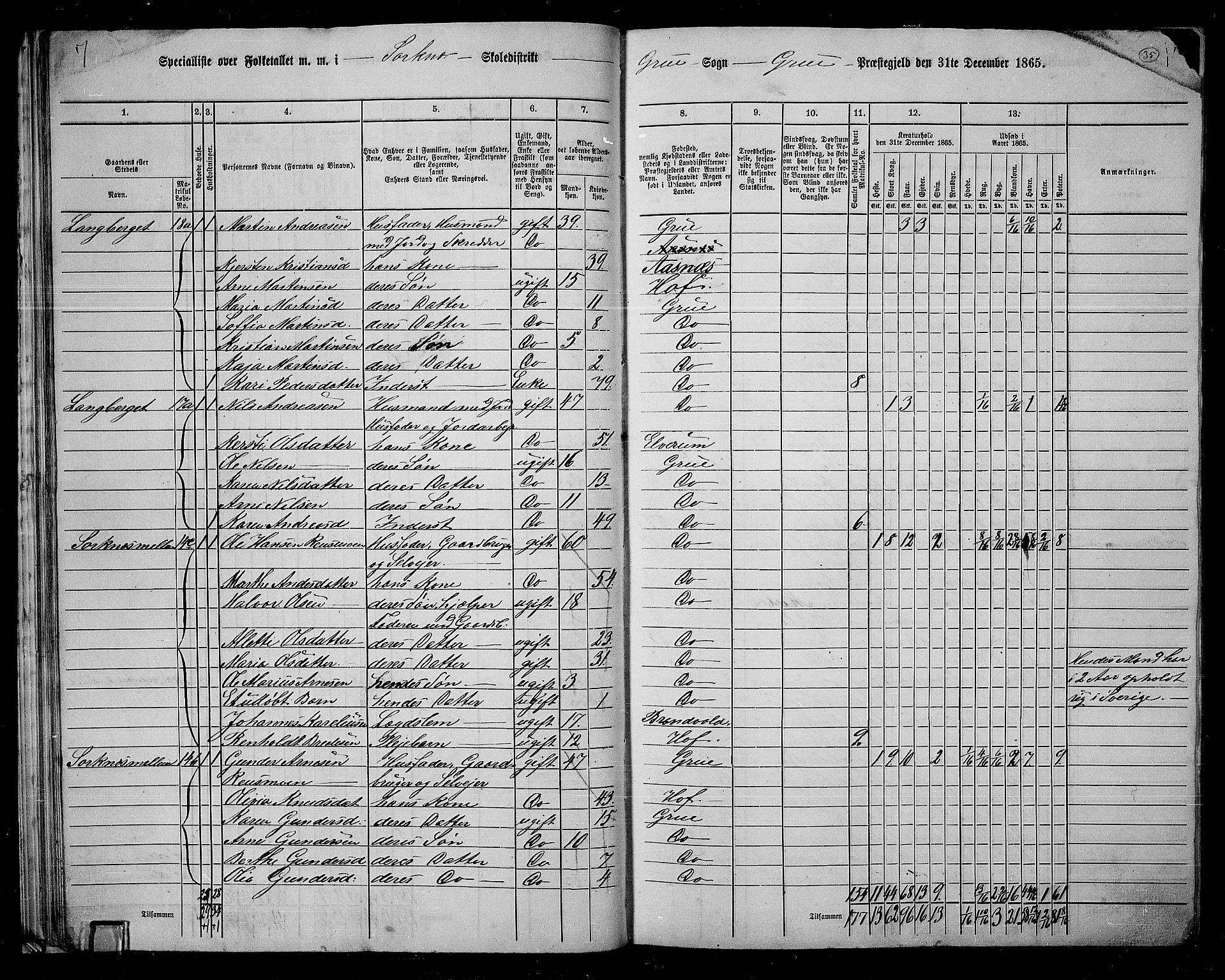 RA, Folketelling 1865 for 0423P Grue prestegjeld, 1865, s. 34