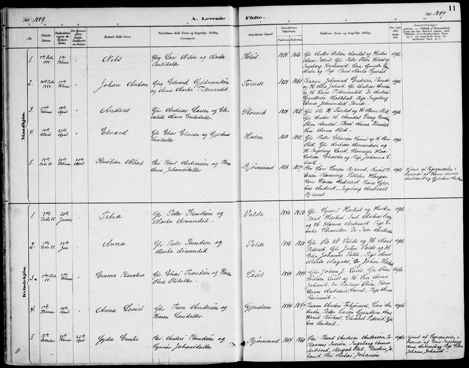 Ministerialprotokoller, klokkerbøker og fødselsregistre - Møre og Romsdal, AV/SAT-A-1454/565/L0750: Ministerialbok nr. 565A04, 1887-1905, s. 11