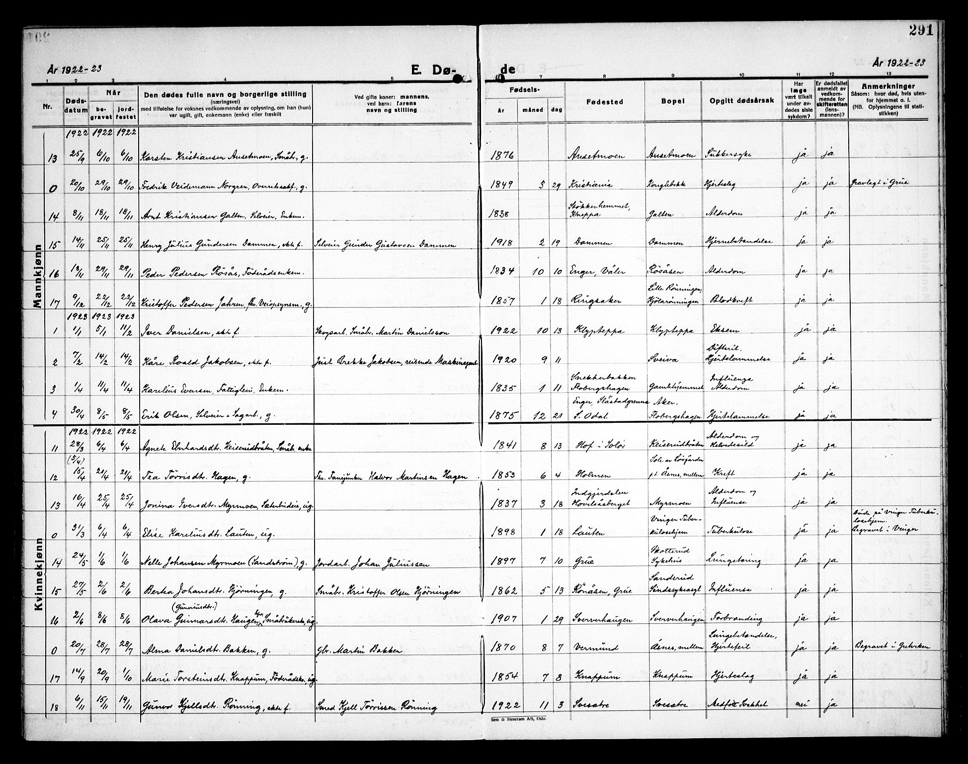 Åsnes prestekontor, SAH/PREST-042/H/Ha/Haa/L0000C: Ministerialbok nr. 0A, 1890-1929, s. 291