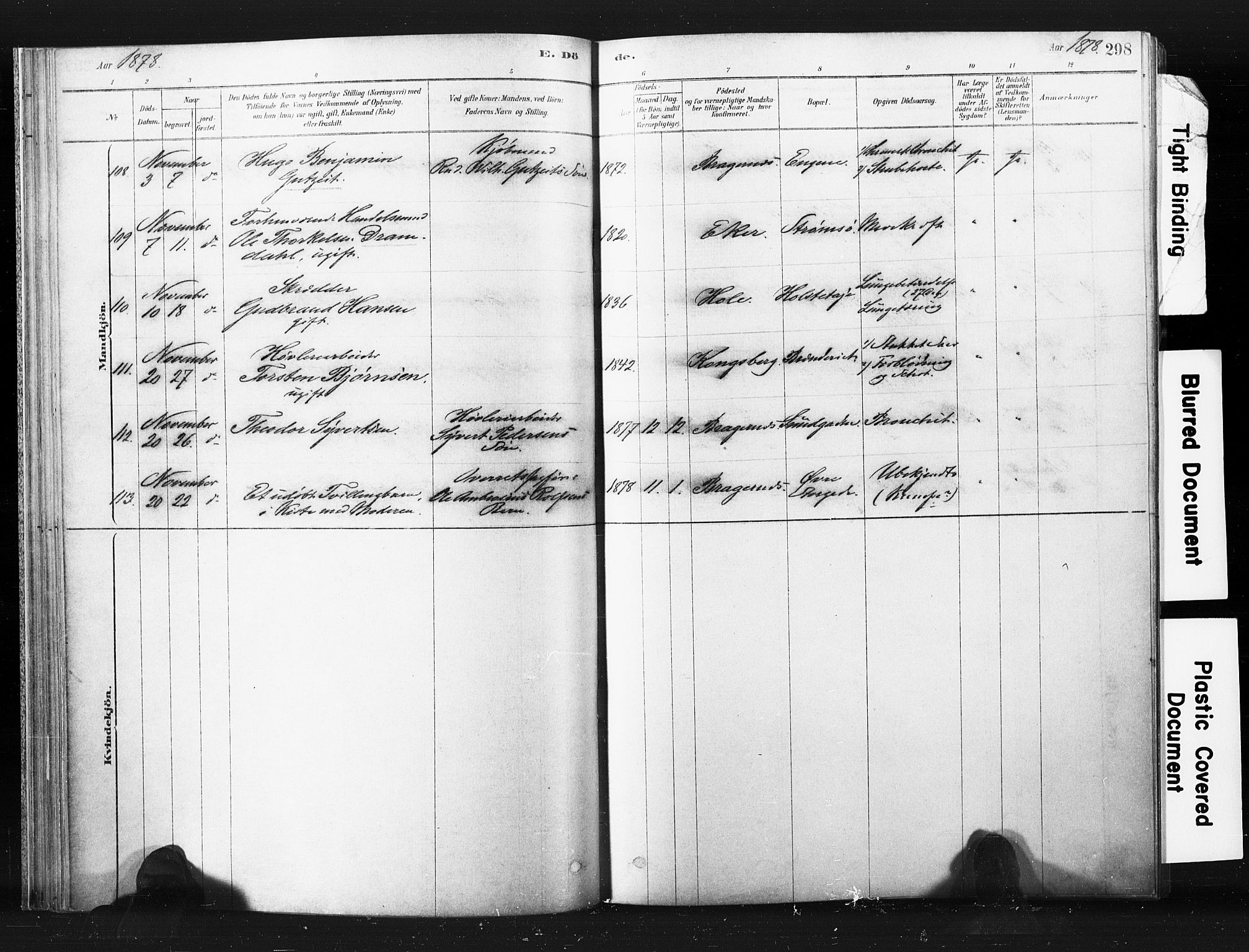 Bragernes kirkebøker, AV/SAKO-A-6/F/Fb/L0006b: Ministerialbok nr. II 6B, 1878-1885, s. 298