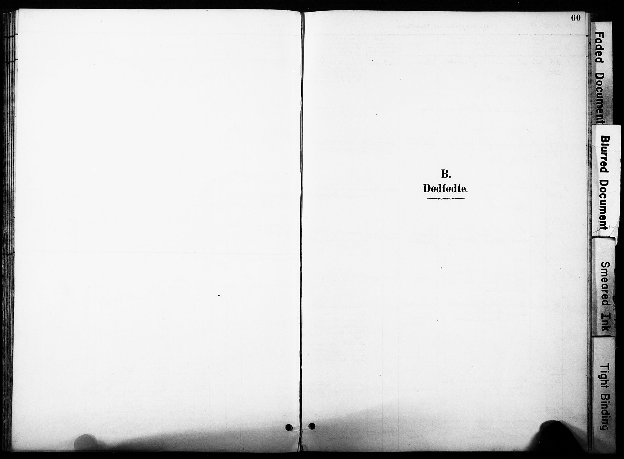 Øyer prestekontor, AV/SAH-PREST-084/H/Ha/Haa/L0011: Ministerialbok nr. 11, 1894-1905, s. 60