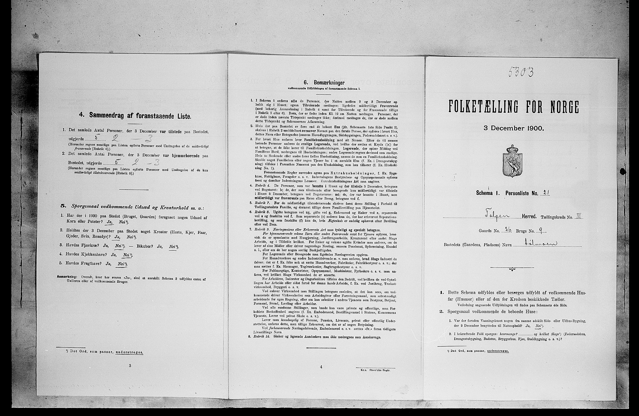 SAH, Folketelling 1900 for 0436 Tolga herred, 1900, s. 336