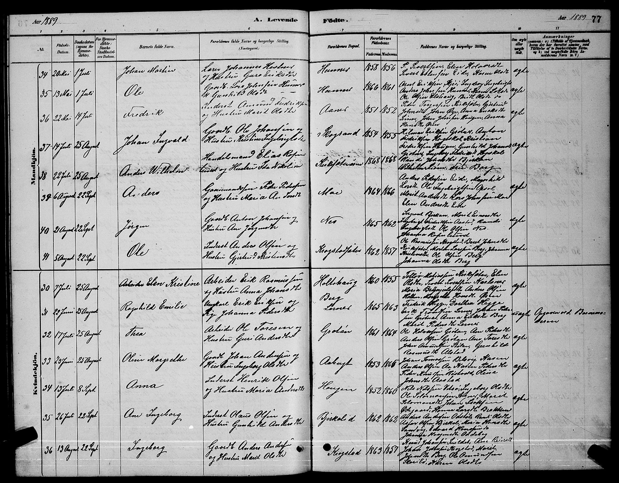 Ministerialprotokoller, klokkerbøker og fødselsregistre - Sør-Trøndelag, AV/SAT-A-1456/630/L0504: Klokkerbok nr. 630C02, 1879-1898, s. 77