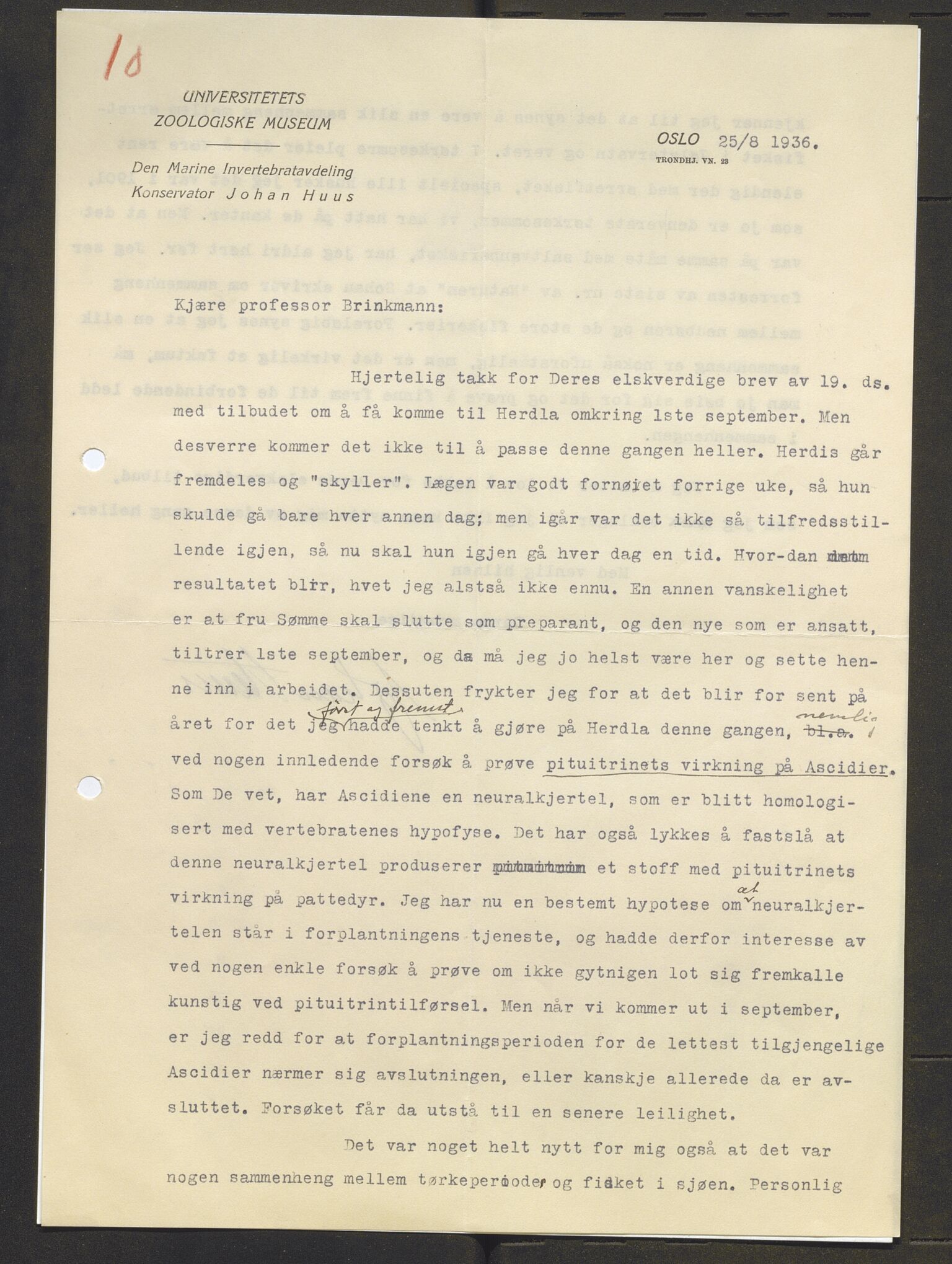 Bergens Museum, AV/SAB-A-17301/13/D/L0002: Korrespondanse , 1928-1940, s. 557