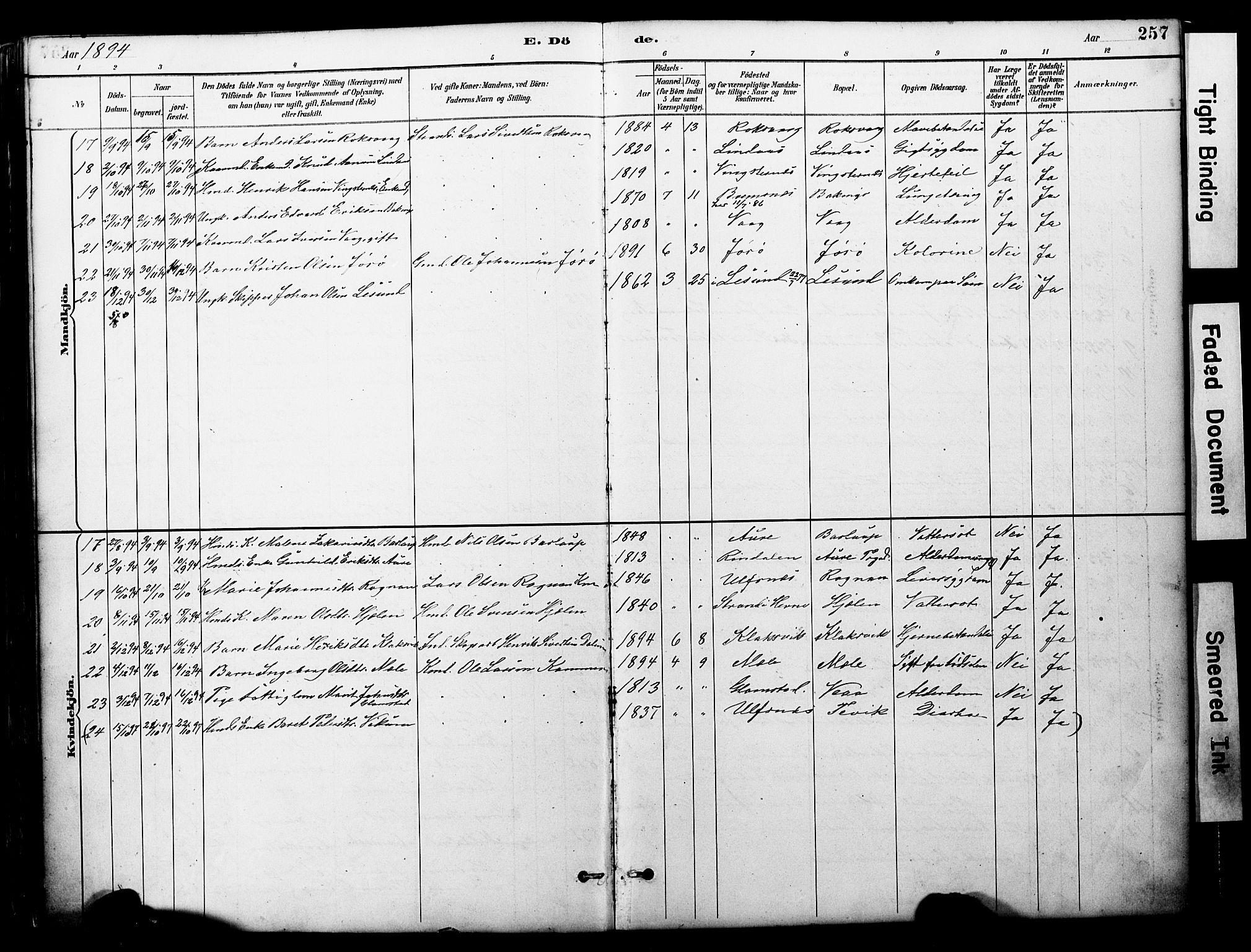 Ministerialprotokoller, klokkerbøker og fødselsregistre - Møre og Romsdal, AV/SAT-A-1454/578/L0907: Ministerialbok nr. 578A06, 1887-1904, s. 257