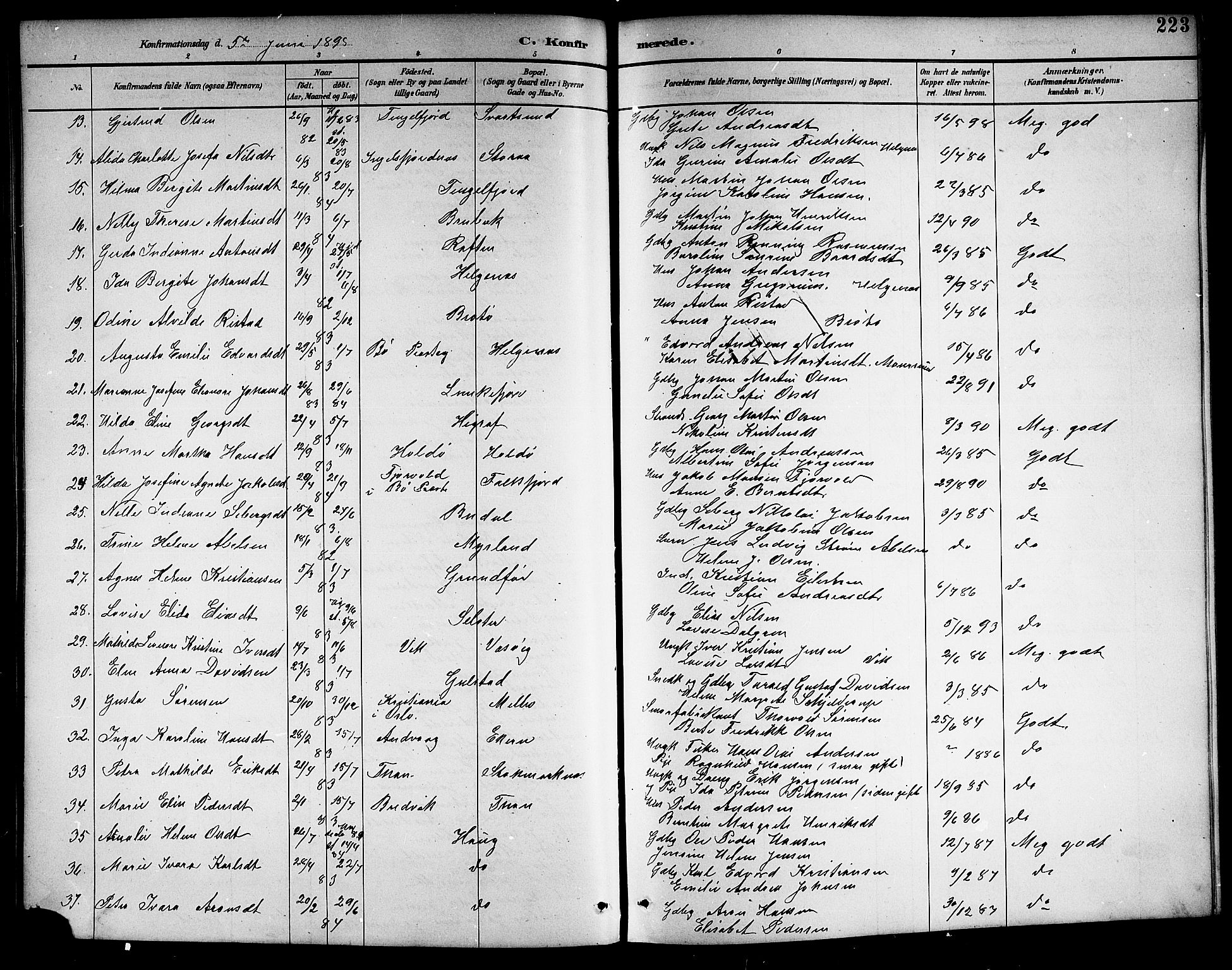 Ministerialprotokoller, klokkerbøker og fødselsregistre - Nordland, AV/SAT-A-1459/888/L1268: Klokkerbok nr. 888C06, 1891-1908, s. 223