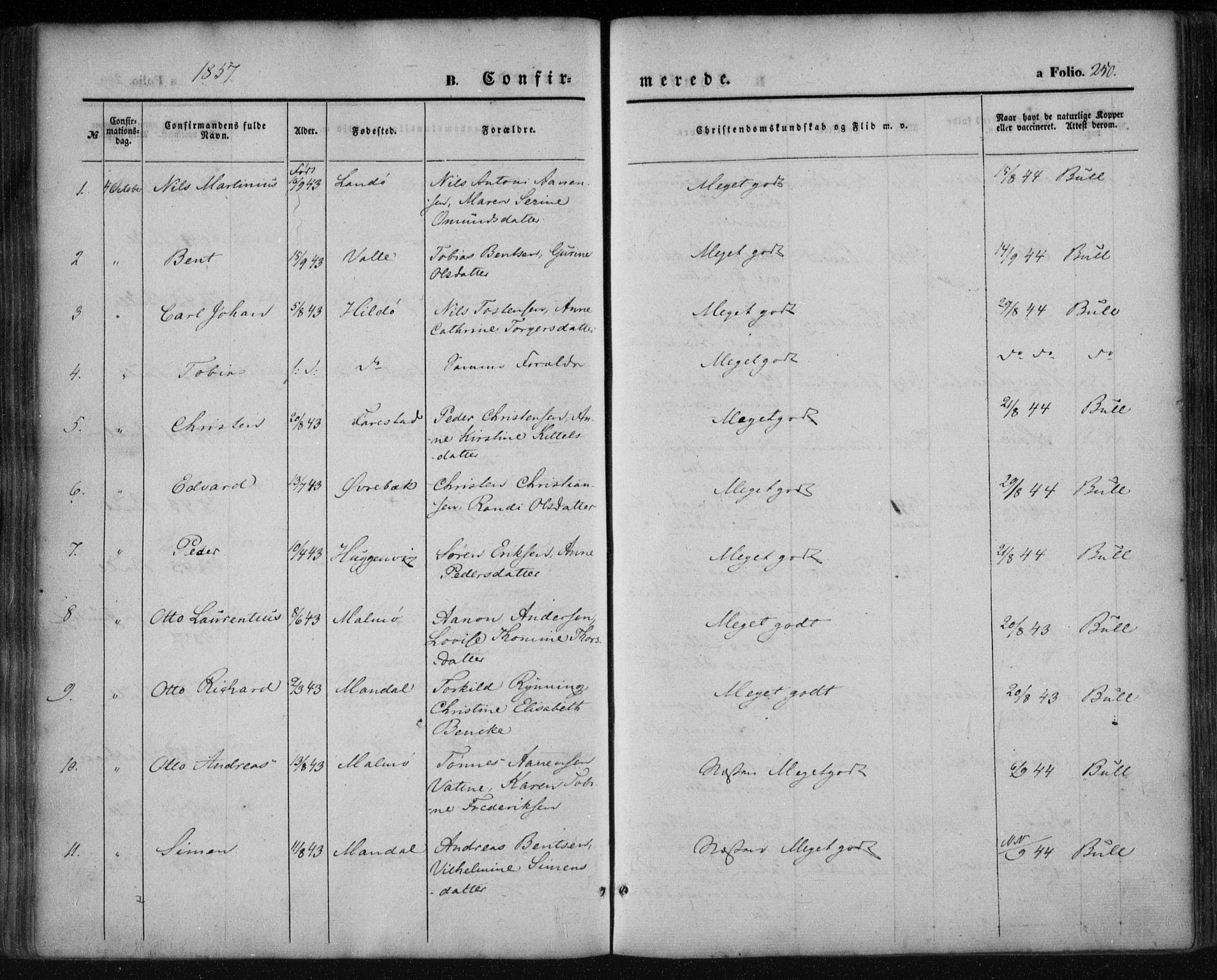 Mandal sokneprestkontor, AV/SAK-1111-0030/F/Fa/Faa/L0013: Ministerialbok nr. A 13, 1847-1859, s. 250