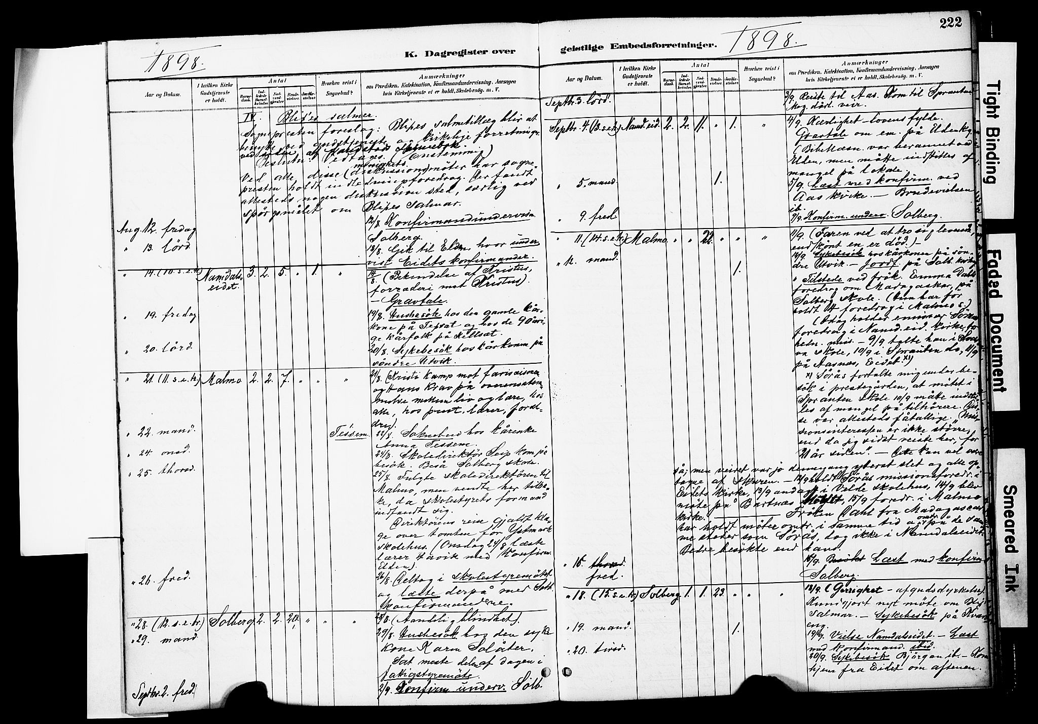 Ministerialprotokoller, klokkerbøker og fødselsregistre - Nord-Trøndelag, AV/SAT-A-1458/741/L0396: Ministerialbok nr. 741A10, 1889-1901, s. 222