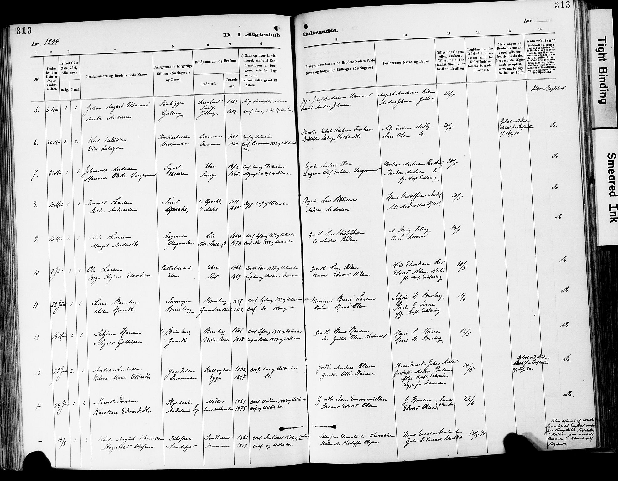 Lier kirkebøker, SAKO/A-230/F/Fa/L0015: Ministerialbok nr. I 15, 1883-1894, s. 313