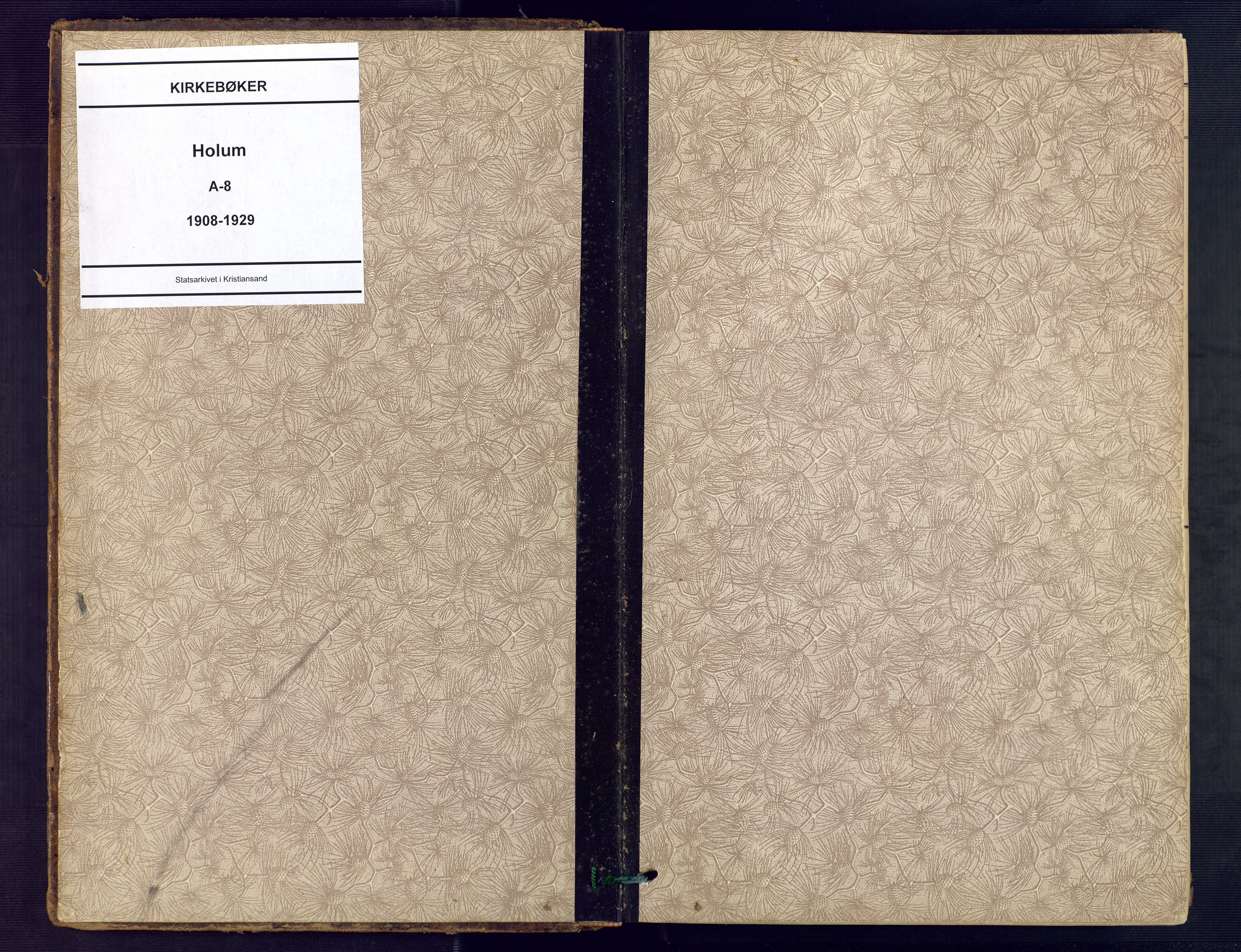 Holum sokneprestkontor, SAK/1111-0022/F/Fa/Faa/L0008: Ministerialbok nr. A 8, 1908-1929