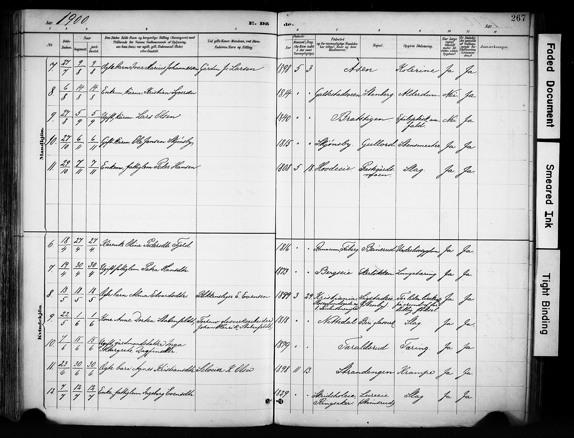 Biri prestekontor, SAH/PREST-096/H/Ha/Haa/L0009: Ministerialbok nr. 9, 1887-1900, s. 267