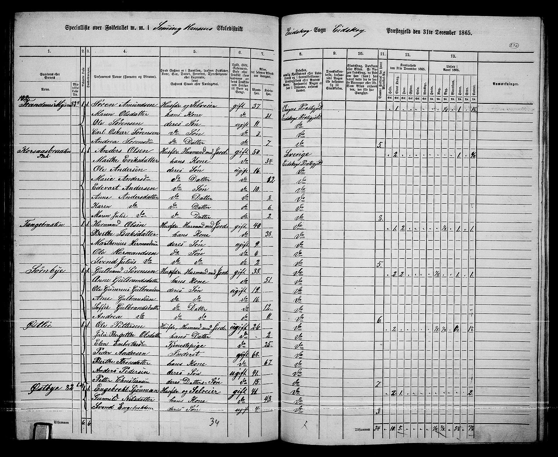 RA, Folketelling 1865 for 0420P Eidskog prestegjeld, 1865, s. 206