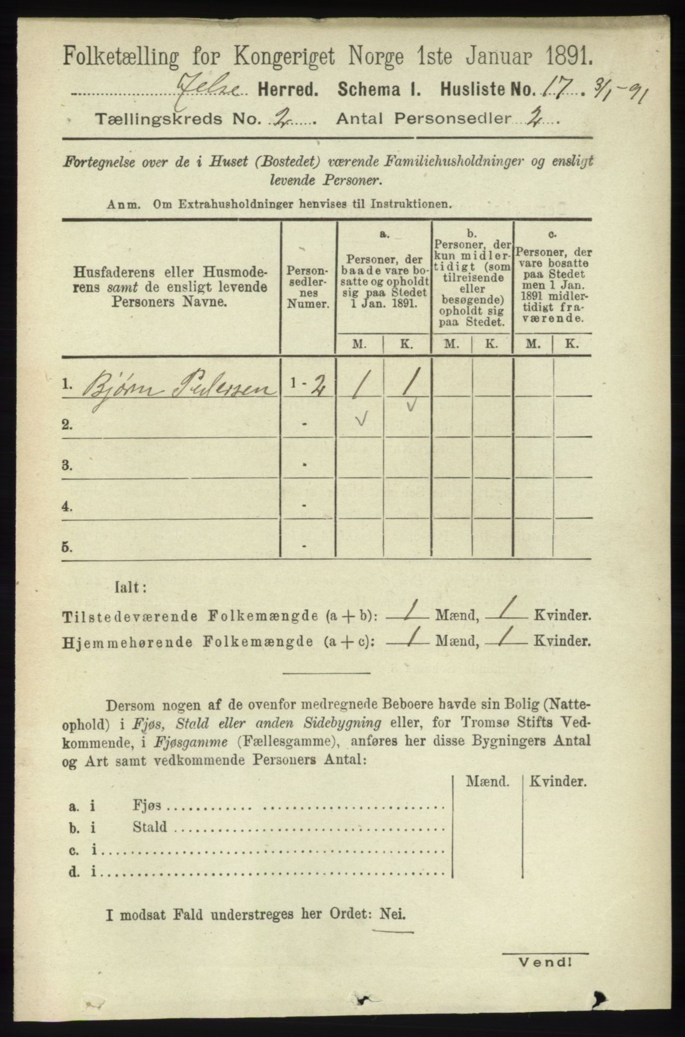 RA, Folketelling 1891 for 1138 Jelsa herred, 1891, s. 244