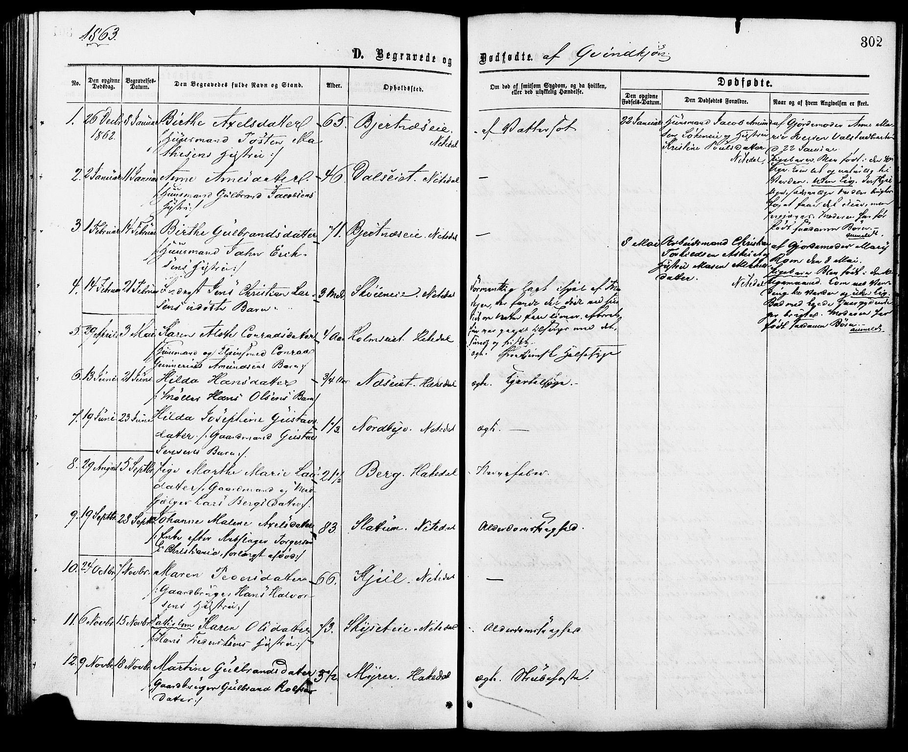 Nittedal prestekontor Kirkebøker, AV/SAO-A-10365a/F/Fa/L0006: Ministerialbok nr. I 6, 1863-1878, s. 302