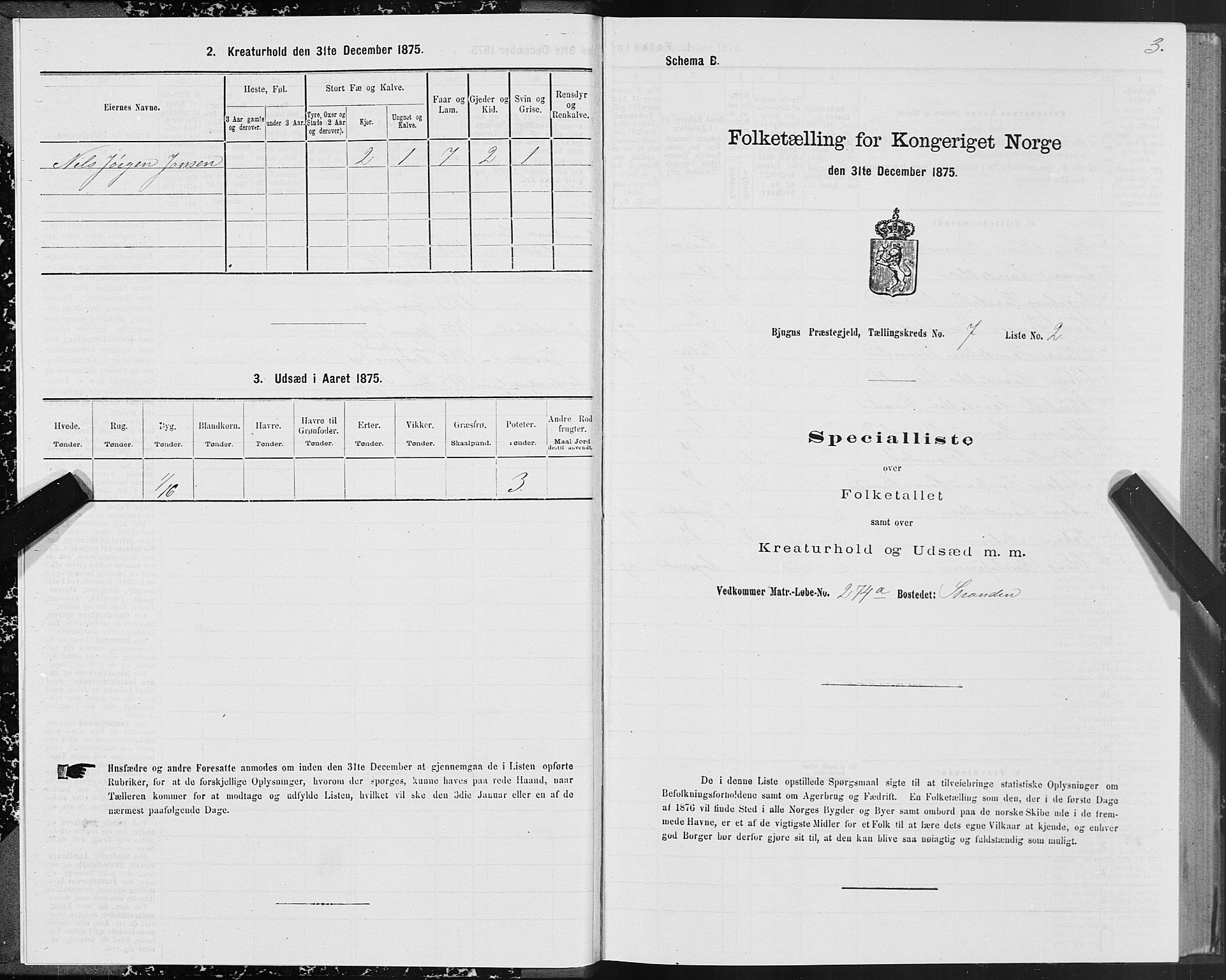 SAT, Folketelling 1875 for 1627P Bjugn prestegjeld, 1875, s. 4003