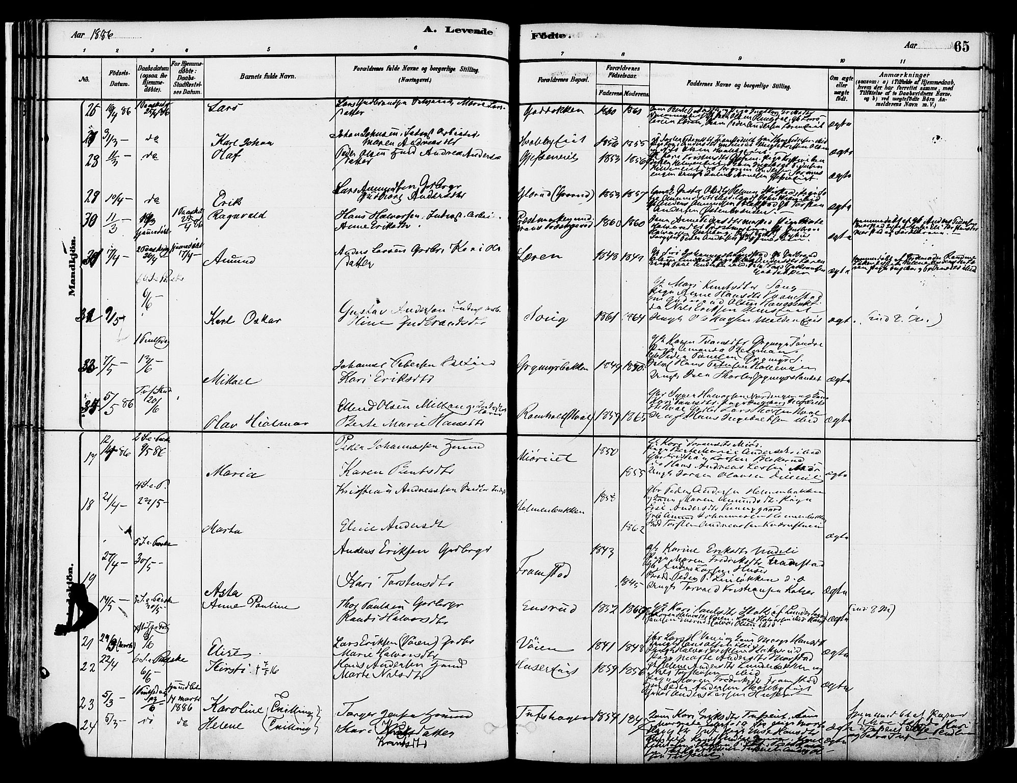 Gran prestekontor, AV/SAH-PREST-112/H/Ha/Haa/L0014: Ministerialbok nr. 14, 1880-1889, s. 65