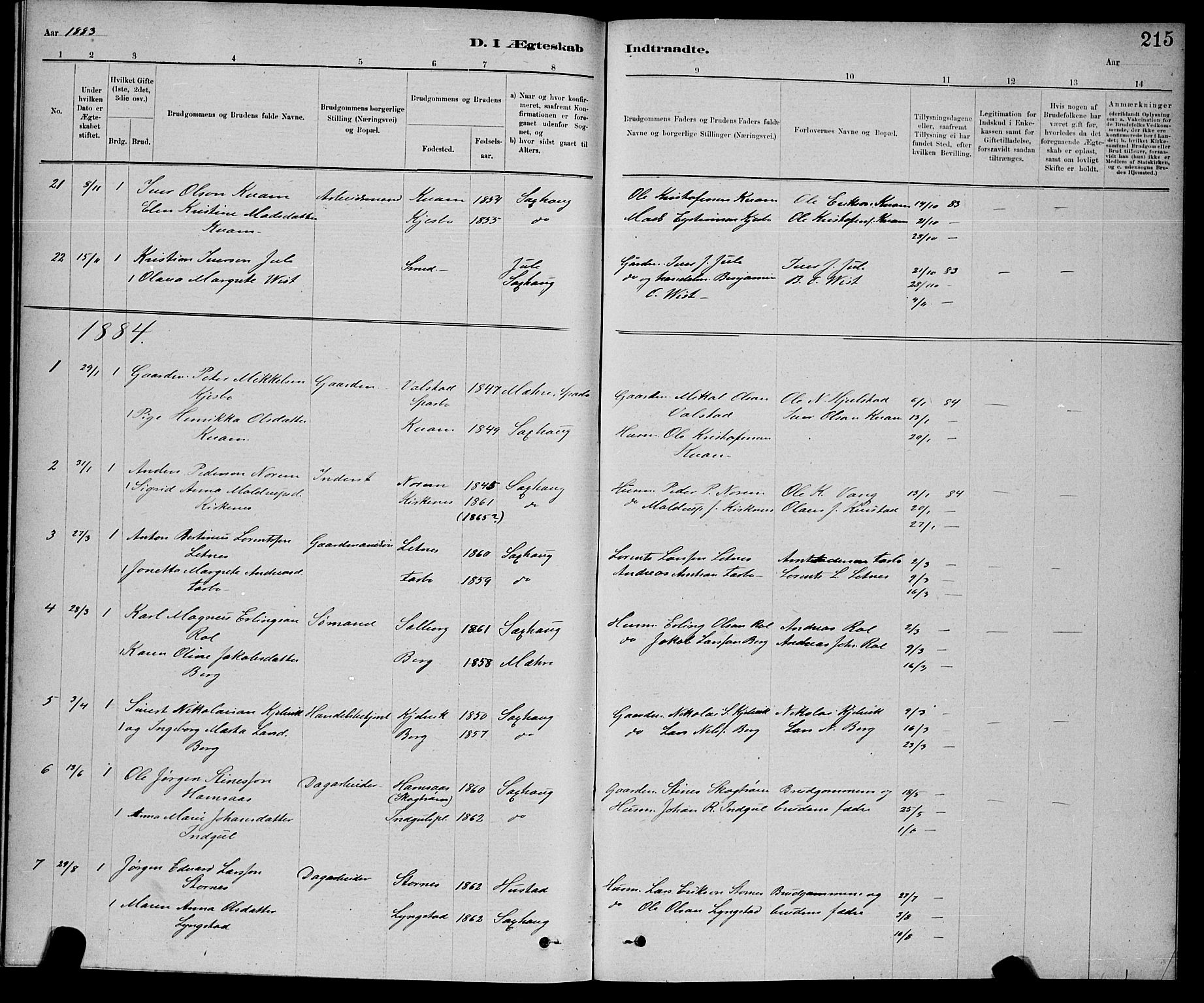 Ministerialprotokoller, klokkerbøker og fødselsregistre - Nord-Trøndelag, SAT/A-1458/730/L0301: Klokkerbok nr. 730C04, 1880-1897, s. 215