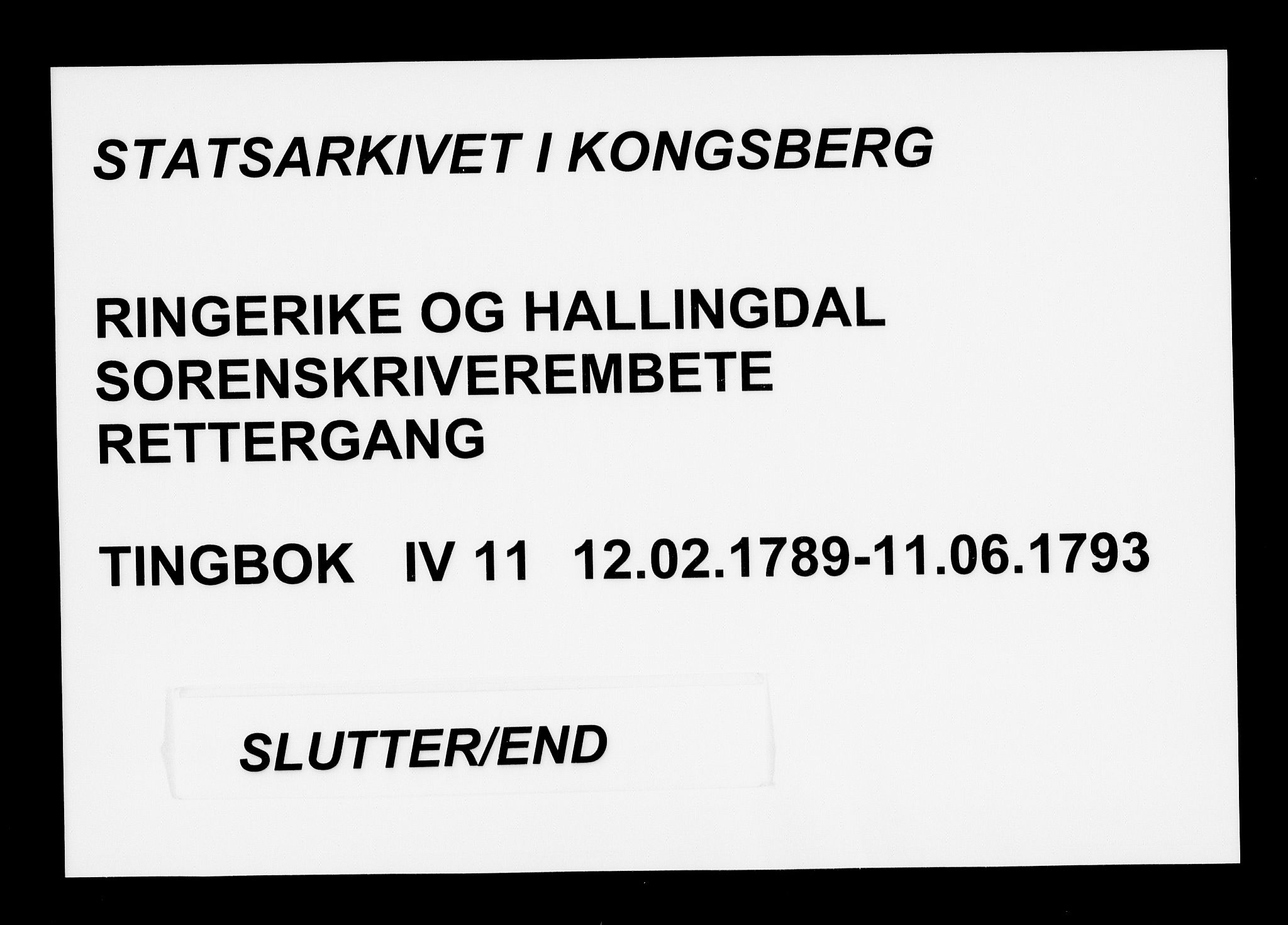 Ringerike og Hallingdal sorenskriveri, AV/SAKO-A-81/F/Fa/Fad/L0011: Tingbok - Hallingdal, 1789-1793