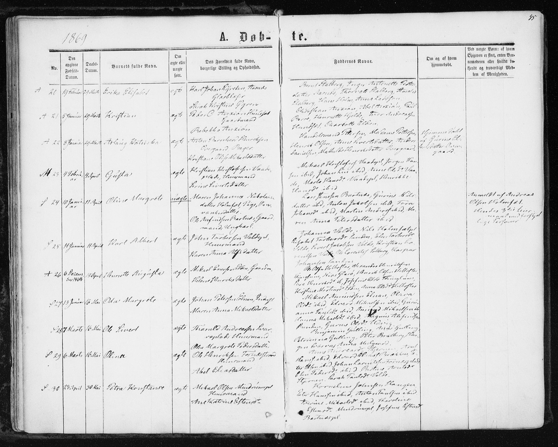 Ministerialprotokoller, klokkerbøker og fødselsregistre - Nord-Trøndelag, SAT/A-1458/741/L0394: Ministerialbok nr. 741A08, 1864-1877, s. 45