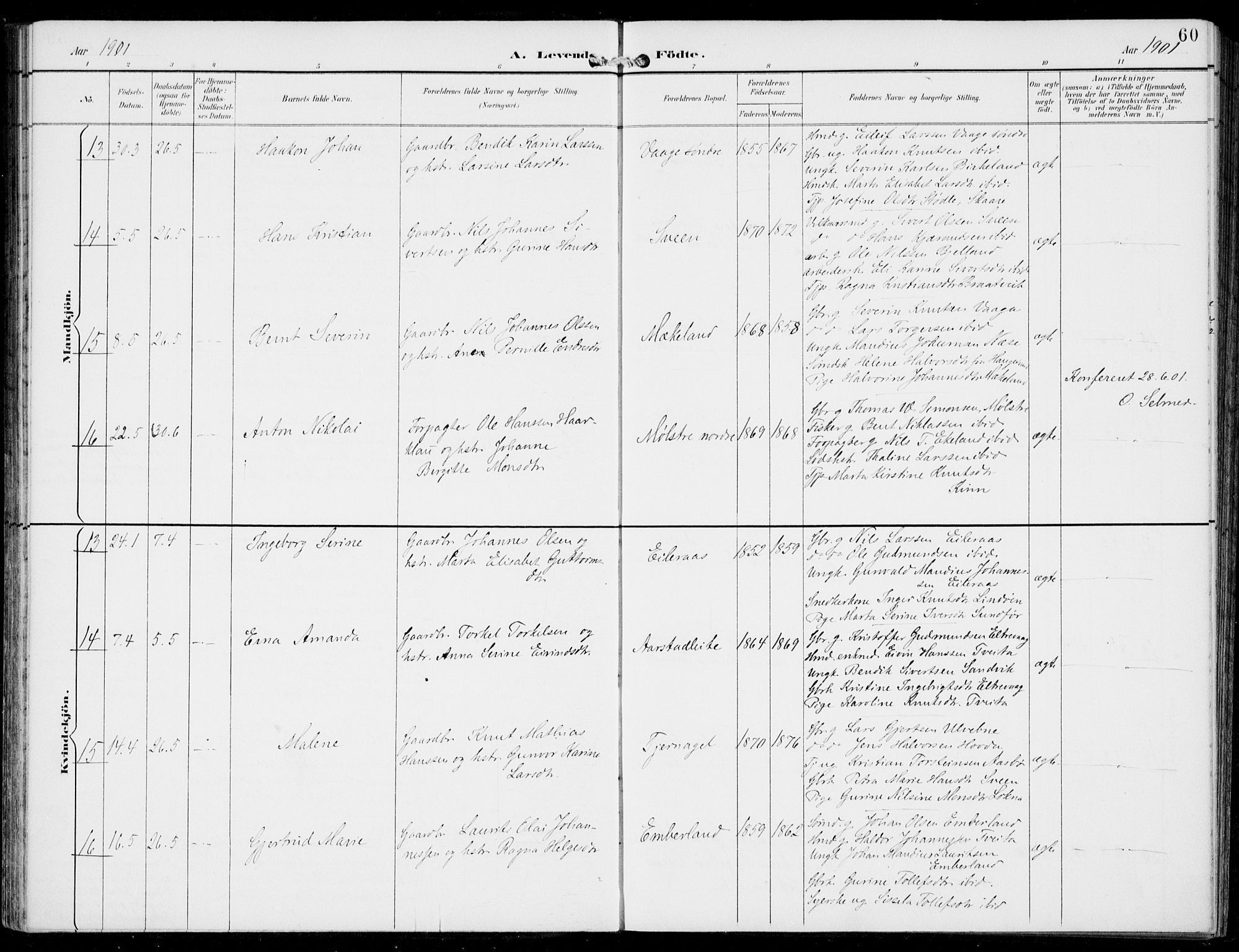 Sveio Sokneprestembete, AV/SAB-A-78501/H/Haa: Ministerialbok nr. B  3, 1894-1906, s. 60