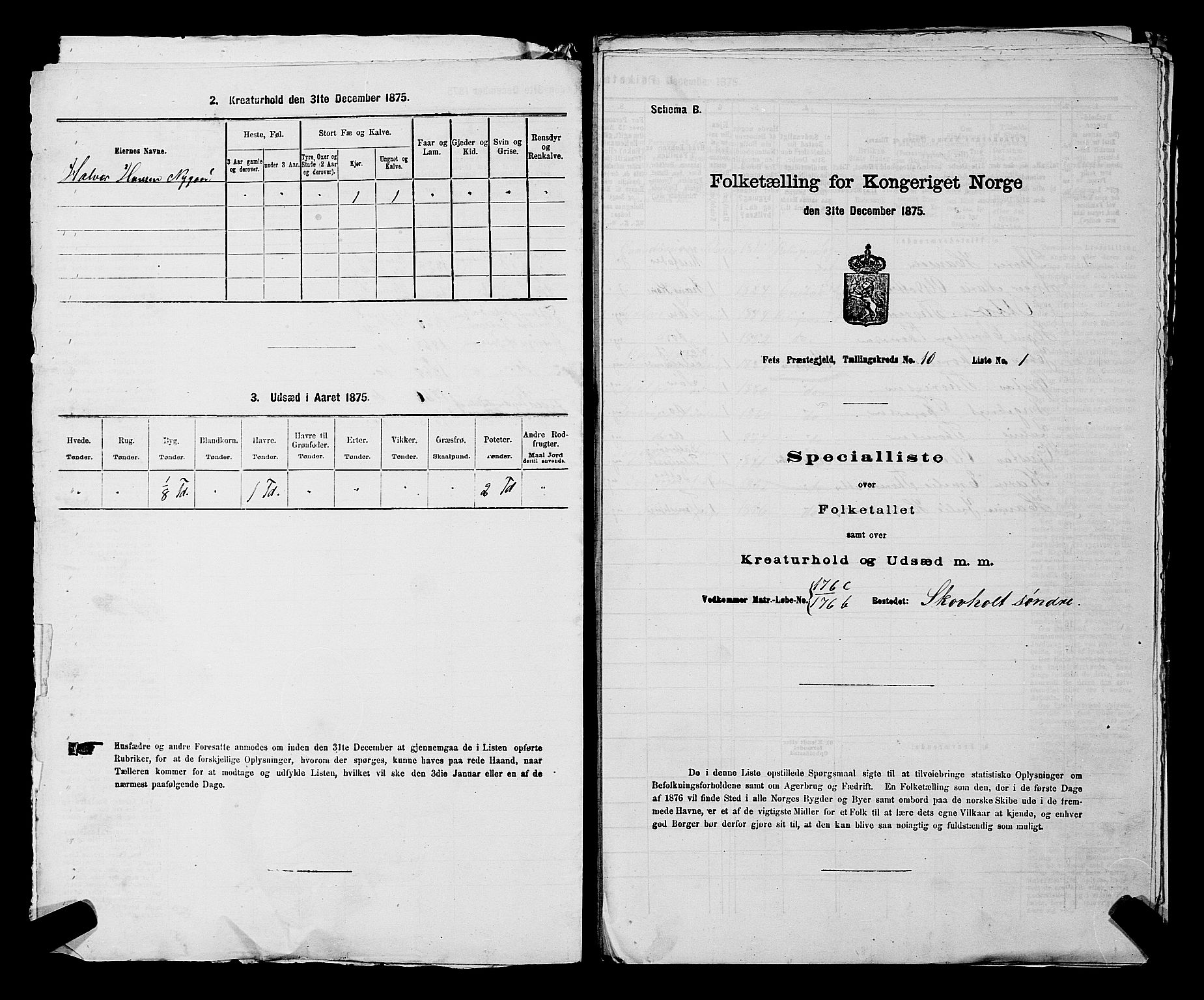 RA, Folketelling 1875 for 0227P Fet prestegjeld, 1875, s. 1347