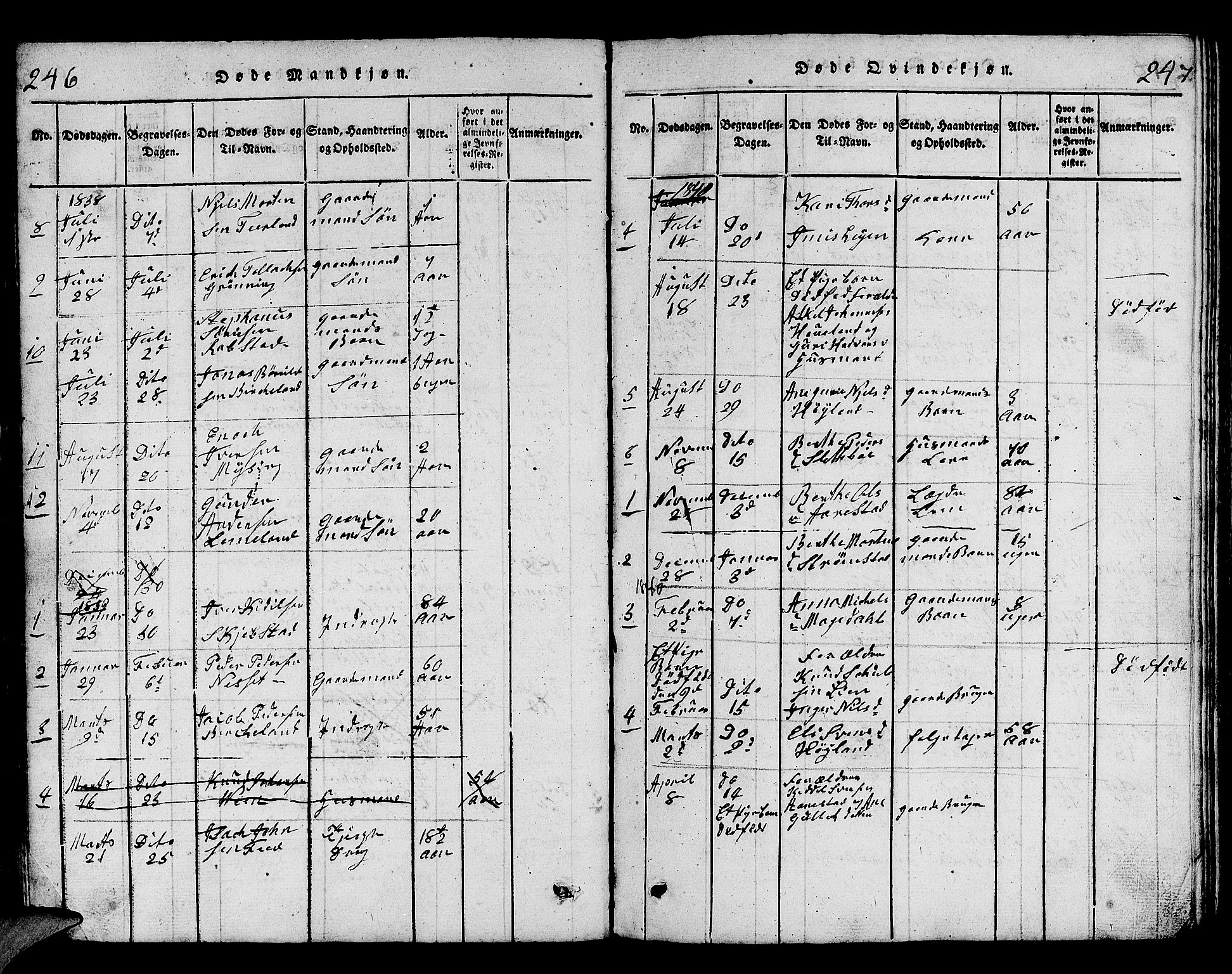 Helleland sokneprestkontor, SAST/A-101810: Klokkerbok nr. B 1, 1815-1841, s. 246-247