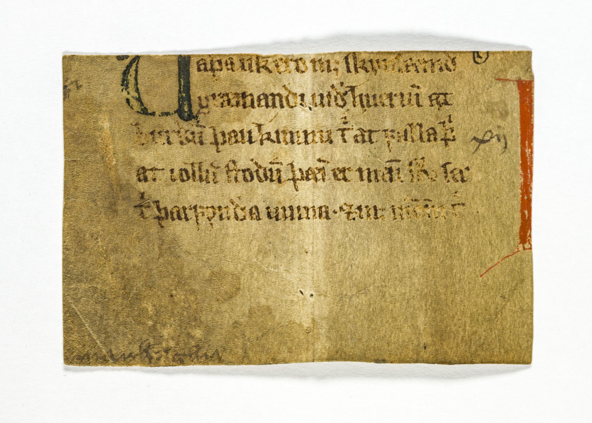 Riksarkivets diplomsamling, AV/RA-EA-5965/F26/L0003: Norrøne membranfragmenter bestand 11-30, 1100-1536, s. 202