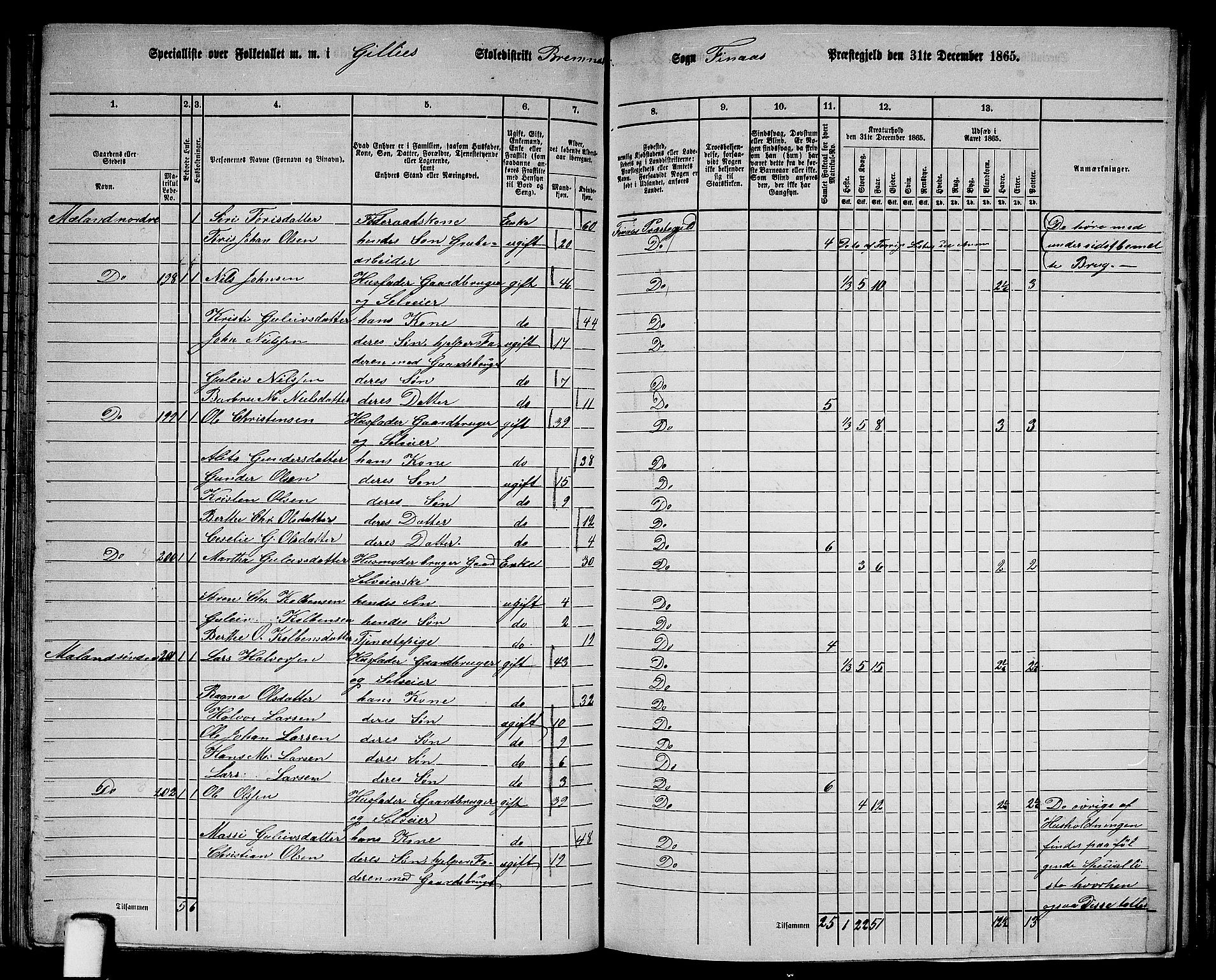 RA, Folketelling 1865 for 1218P Finnås prestegjeld, 1865, s. 101