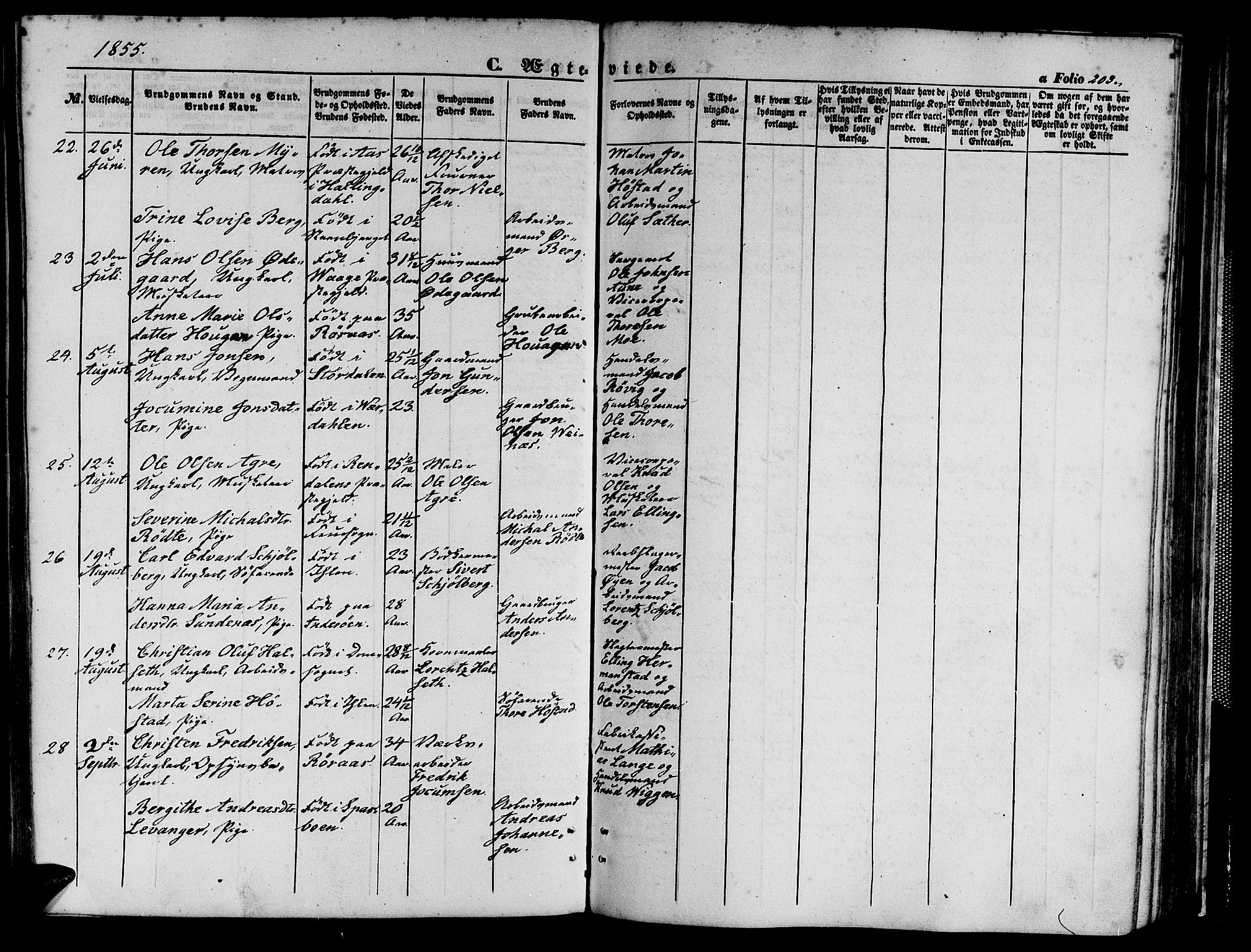 Ministerialprotokoller, klokkerbøker og fødselsregistre - Sør-Trøndelag, SAT/A-1456/602/L0138: Klokkerbok nr. 602C06, 1853-1858, s. 203