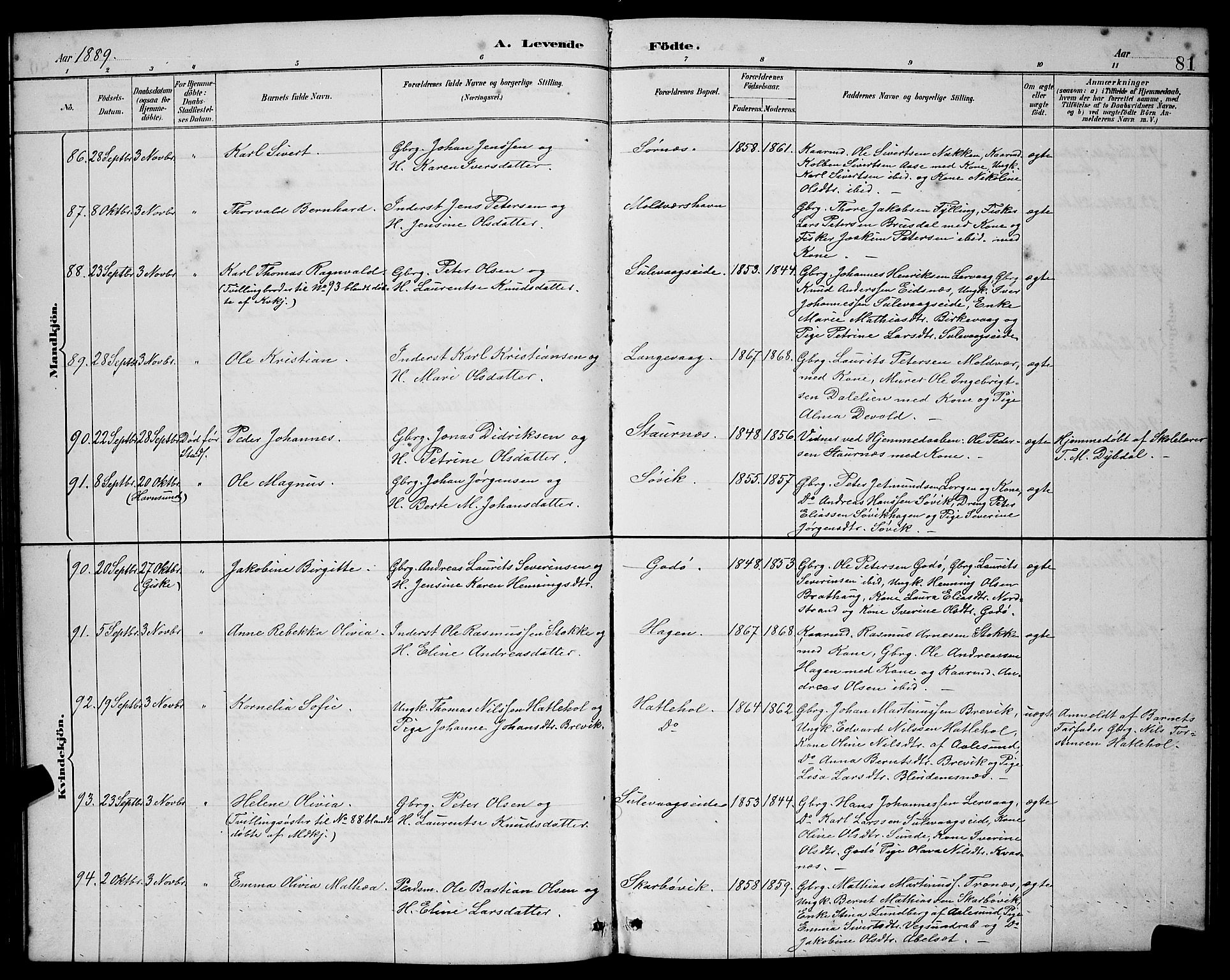 Ministerialprotokoller, klokkerbøker og fødselsregistre - Møre og Romsdal, AV/SAT-A-1454/528/L0431: Klokkerbok nr. 528C12, 1885-1898, s. 81