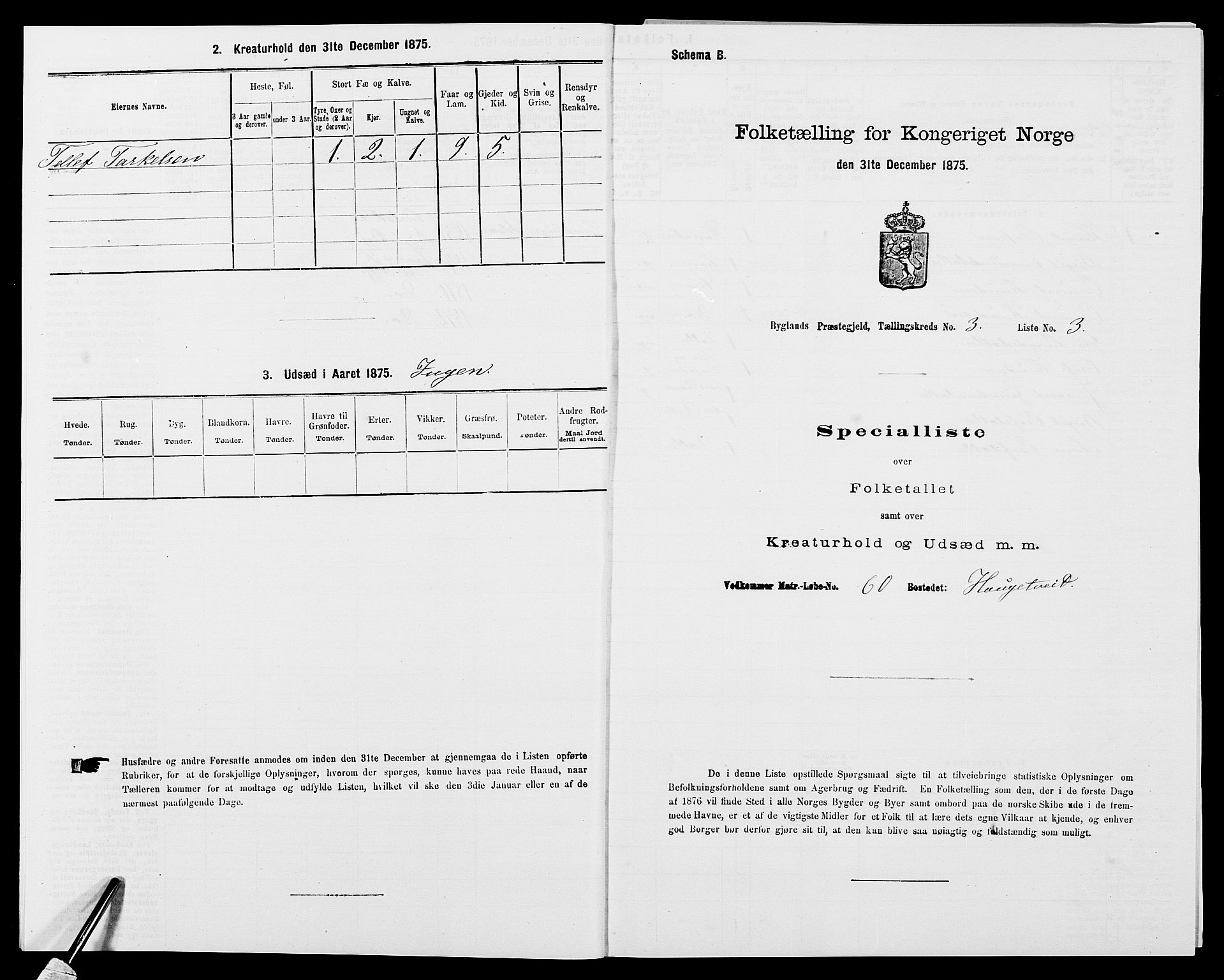 SAK, Folketelling 1875 for 0938P Bygland prestegjeld, 1875, s. 236