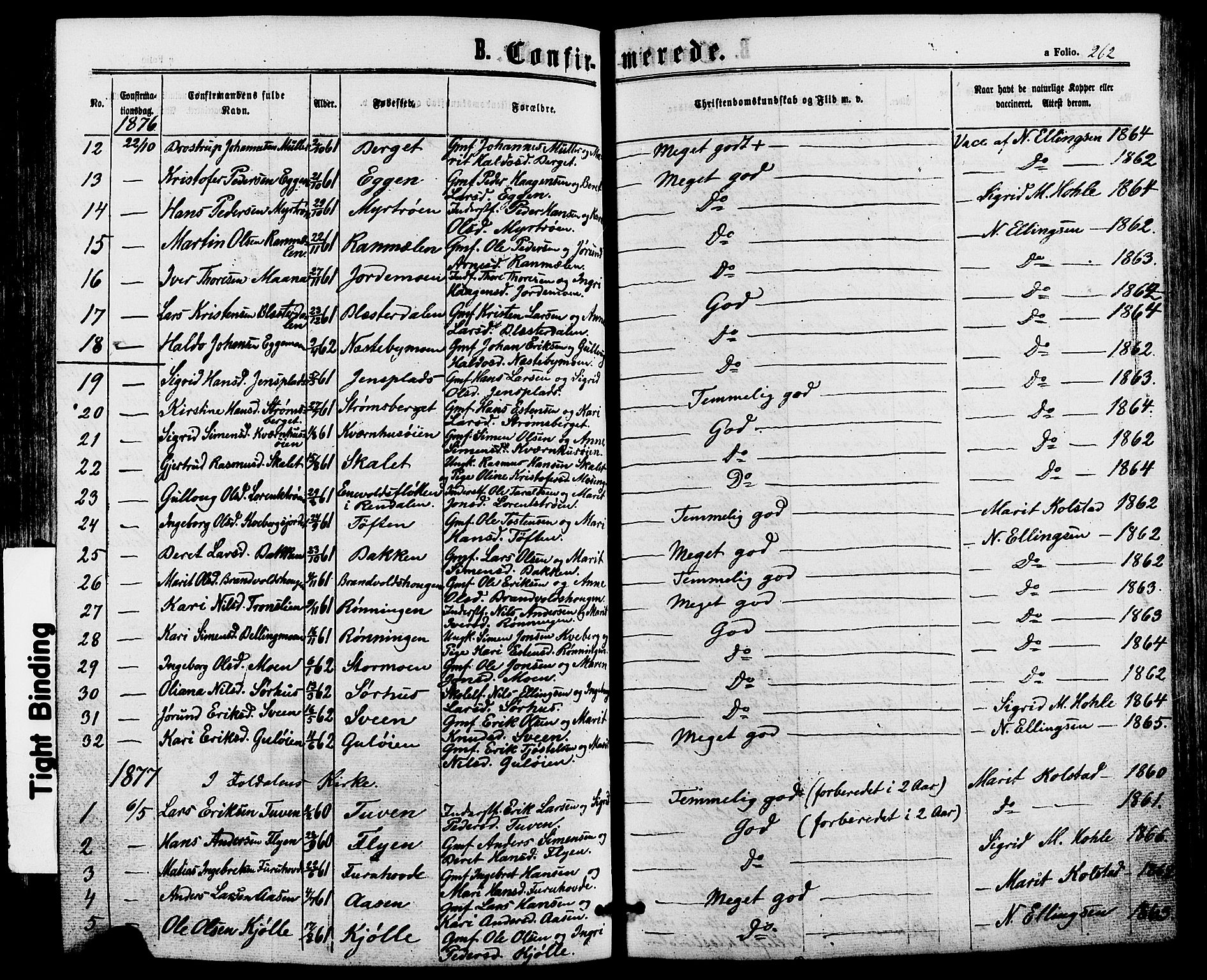 Alvdal prestekontor, AV/SAH-PREST-060/H/Ha/Haa/L0001: Ministerialbok nr. 1, 1863-1882, s. 262