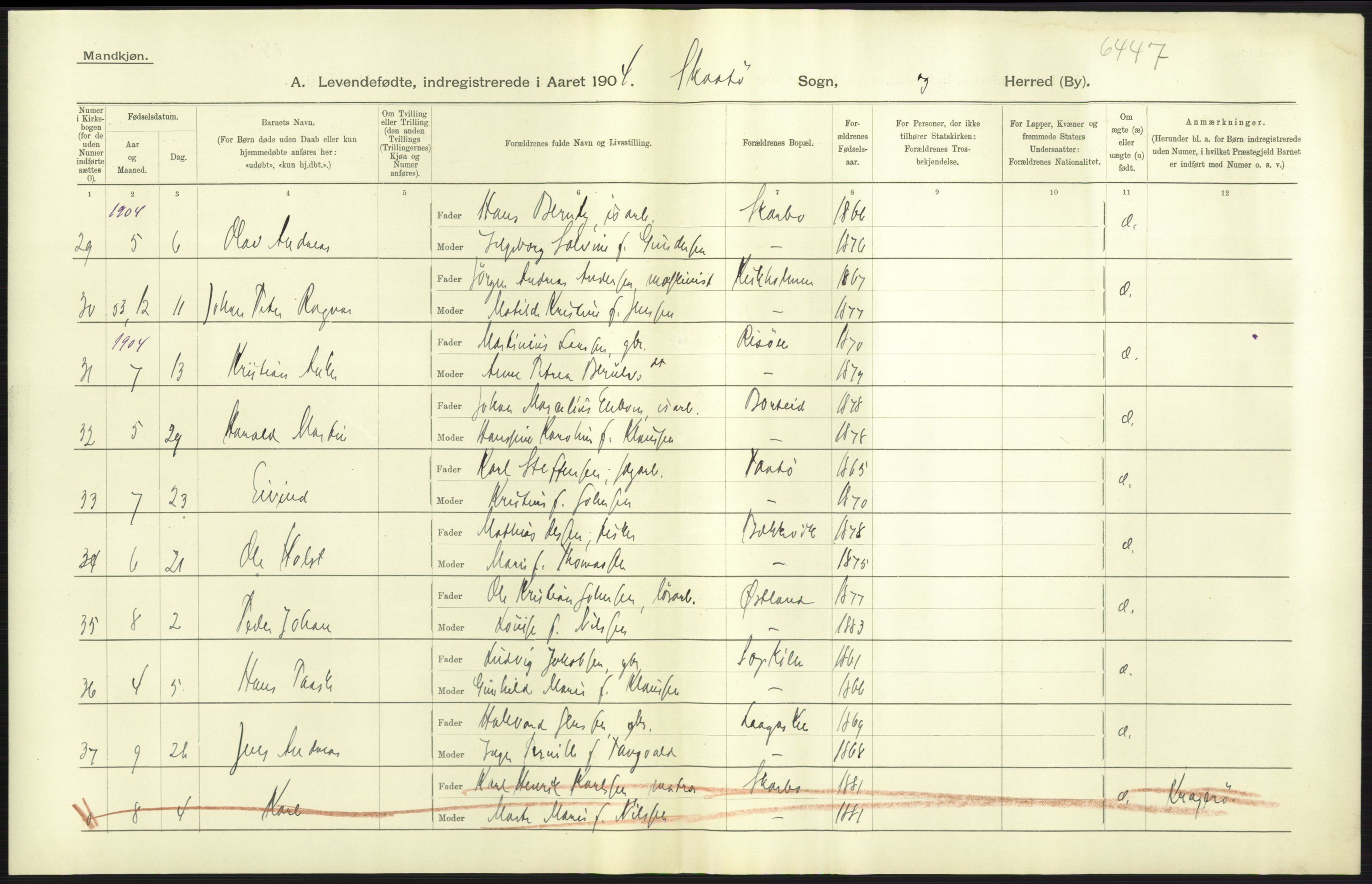 Statistisk sentralbyrå, Sosiodemografiske emner, Befolkning, AV/RA-S-2228/D/Df/Dfa/Dfab/L0009: Bratsberg amt: Fødte, gifte, døde, 1904, s. 39