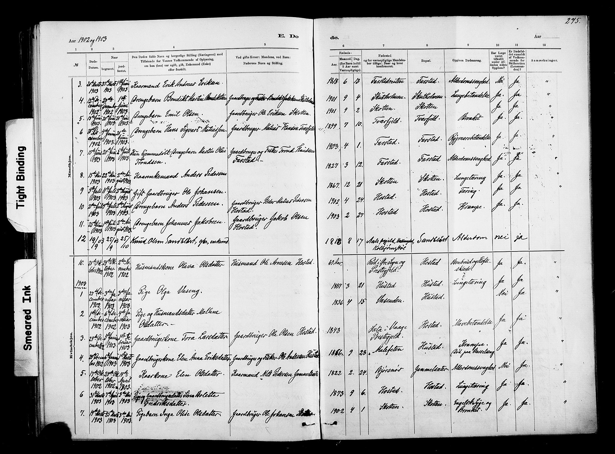 Ministerialprotokoller, klokkerbøker og fødselsregistre - Møre og Romsdal, AV/SAT-A-1454/567/L0778: Ministerialbok nr. 567A01, 1881-1903, s. 275