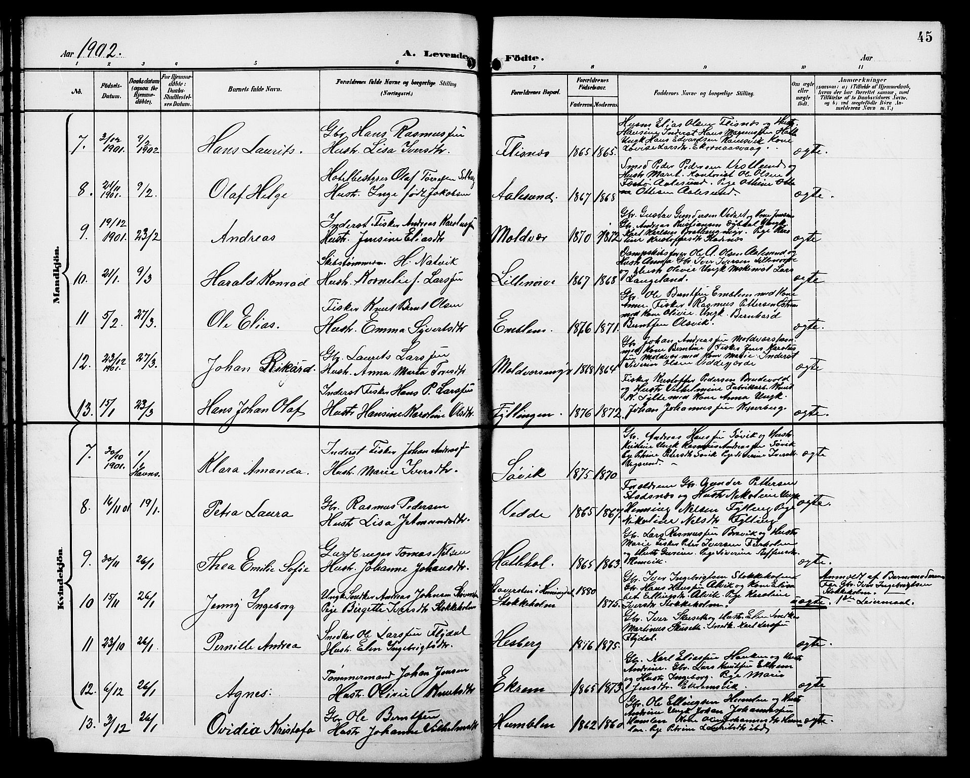 Ministerialprotokoller, klokkerbøker og fødselsregistre - Møre og Romsdal, AV/SAT-A-1454/528/L0432: Klokkerbok nr. 528C13, 1898-1918, s. 45