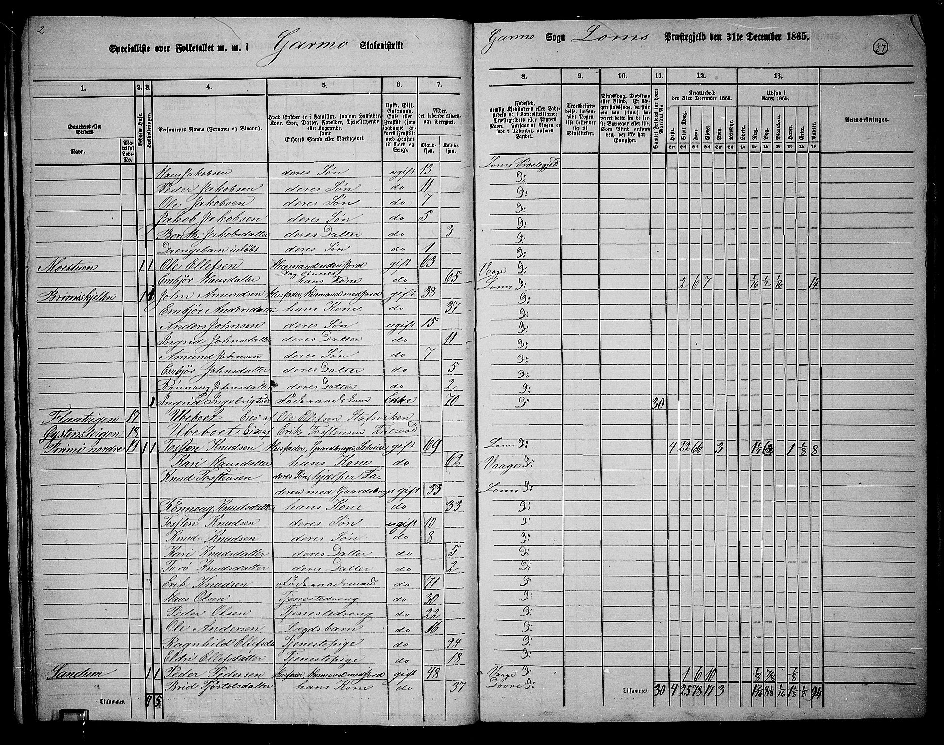 RA, Folketelling 1865 for 0514P Lom prestegjeld, 1865, s. 25